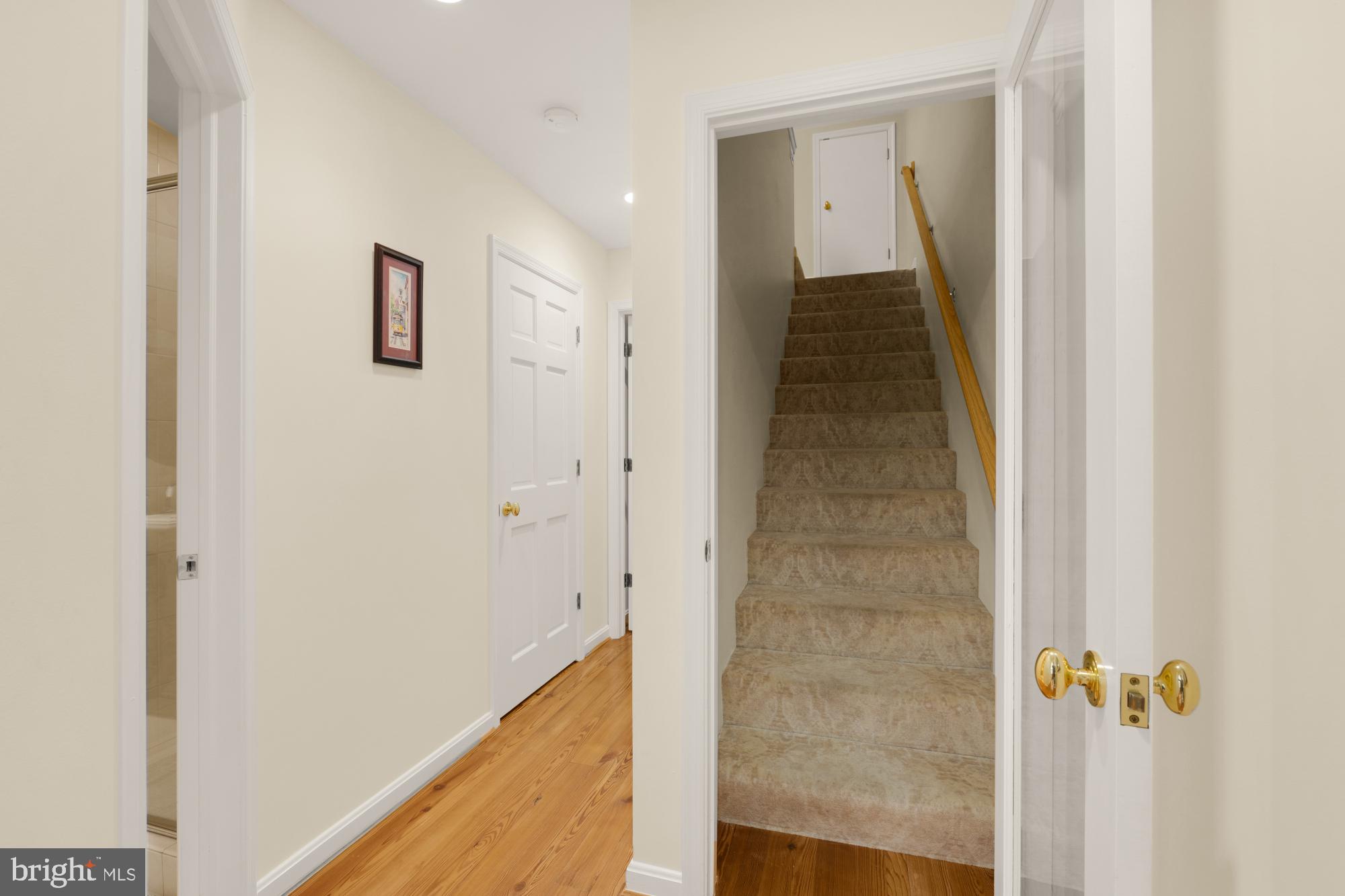 OLD TOWN ALEXANDRIA - Residential