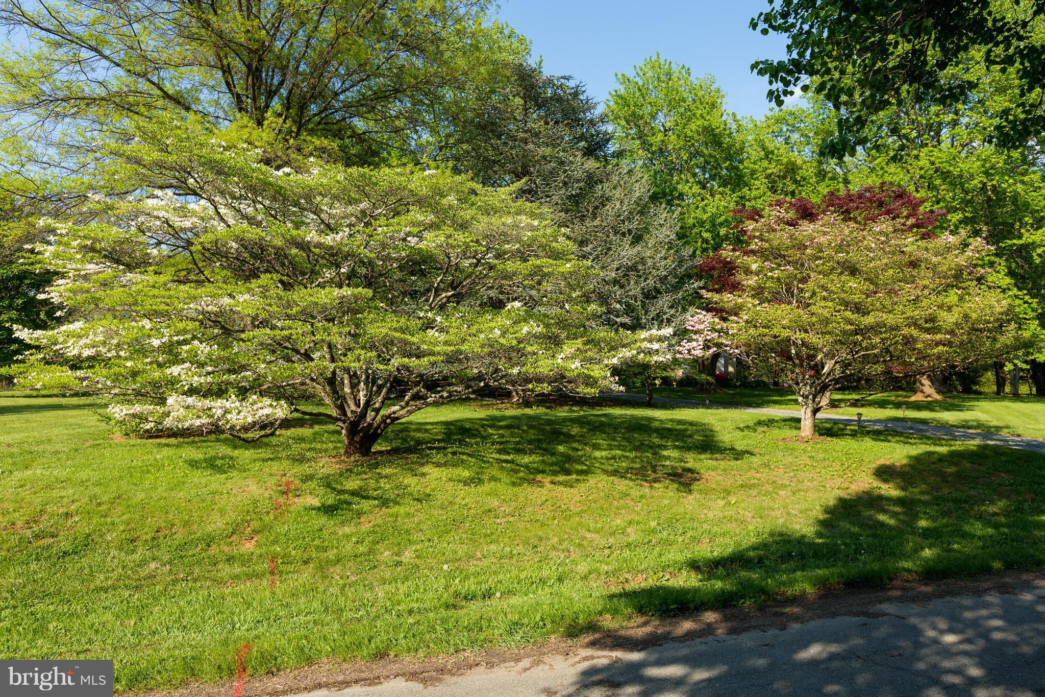 SURREYFIELD - Residential