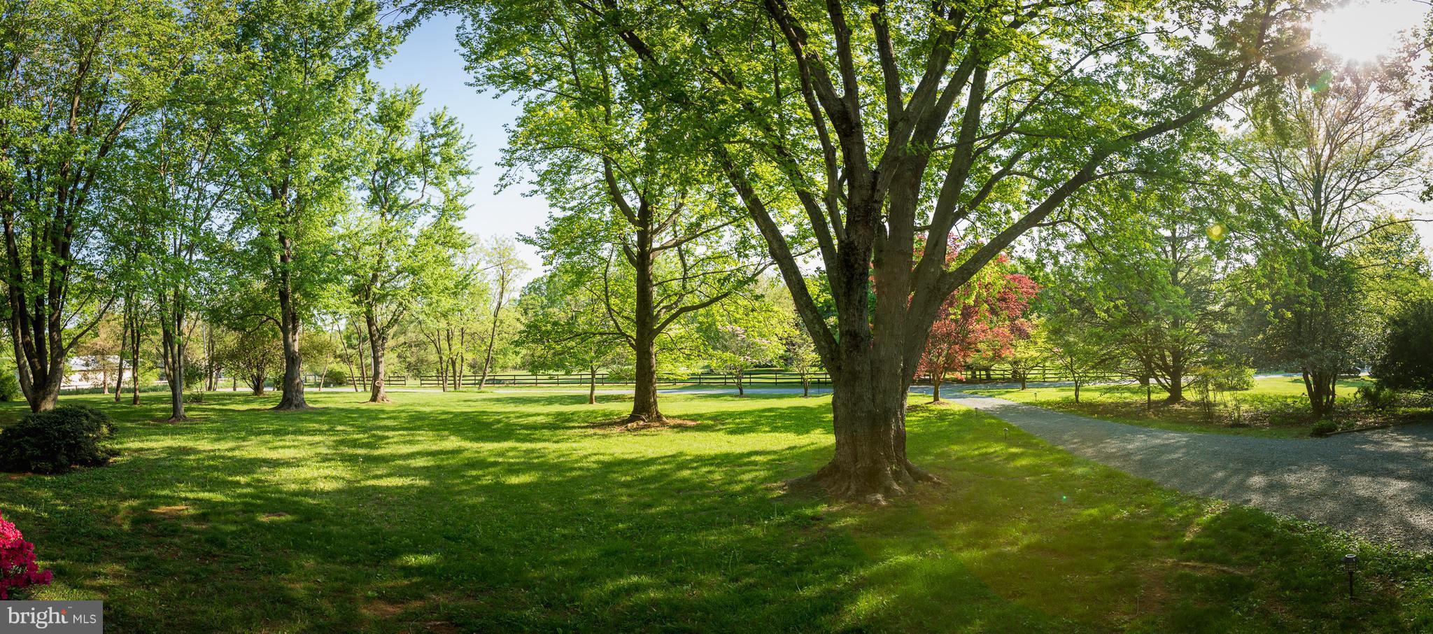 SURREYFIELD - Residential