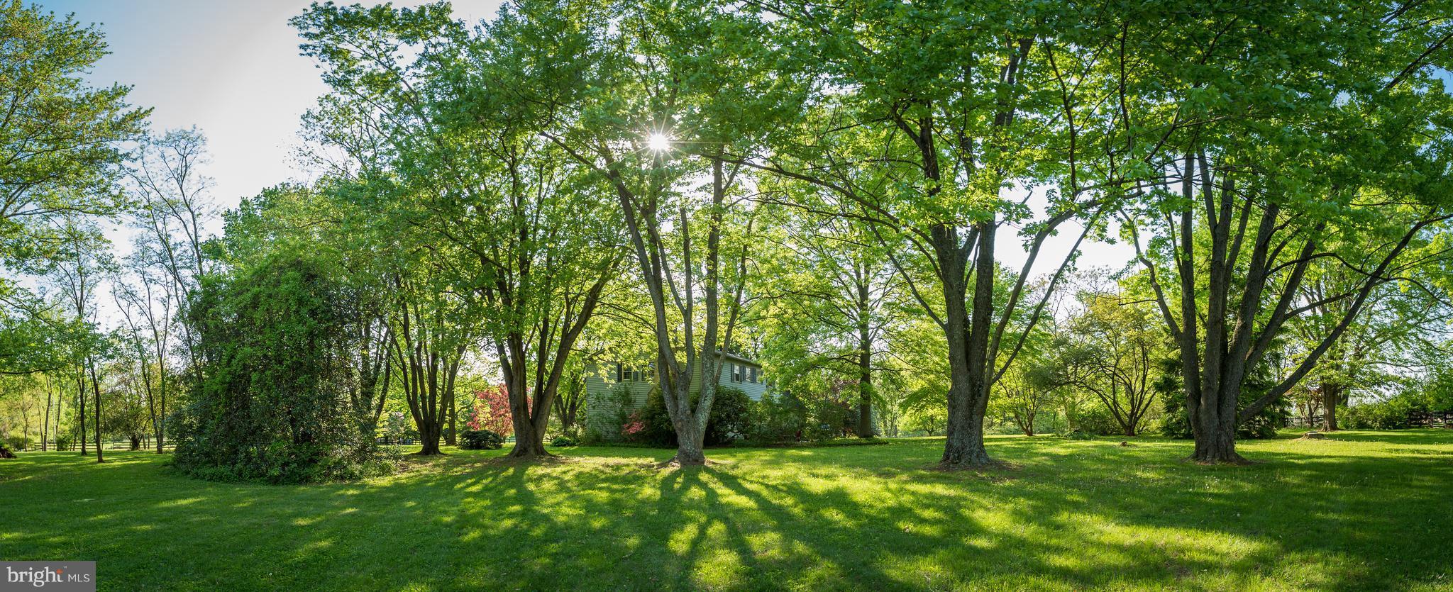 SURREYFIELD - Residential