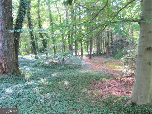 HOMELAND PARK - Residential