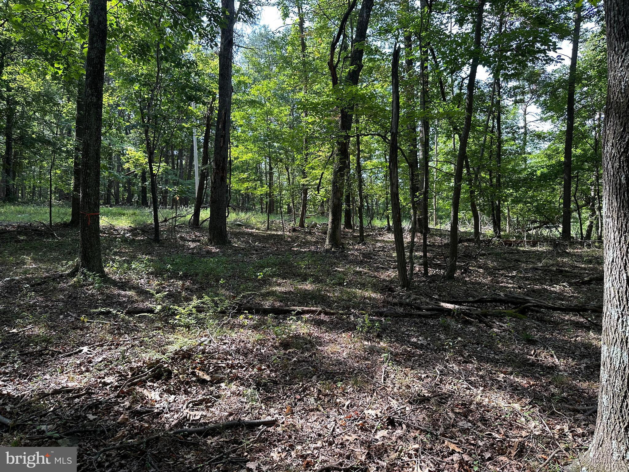 NONE AVAILABLE - Land