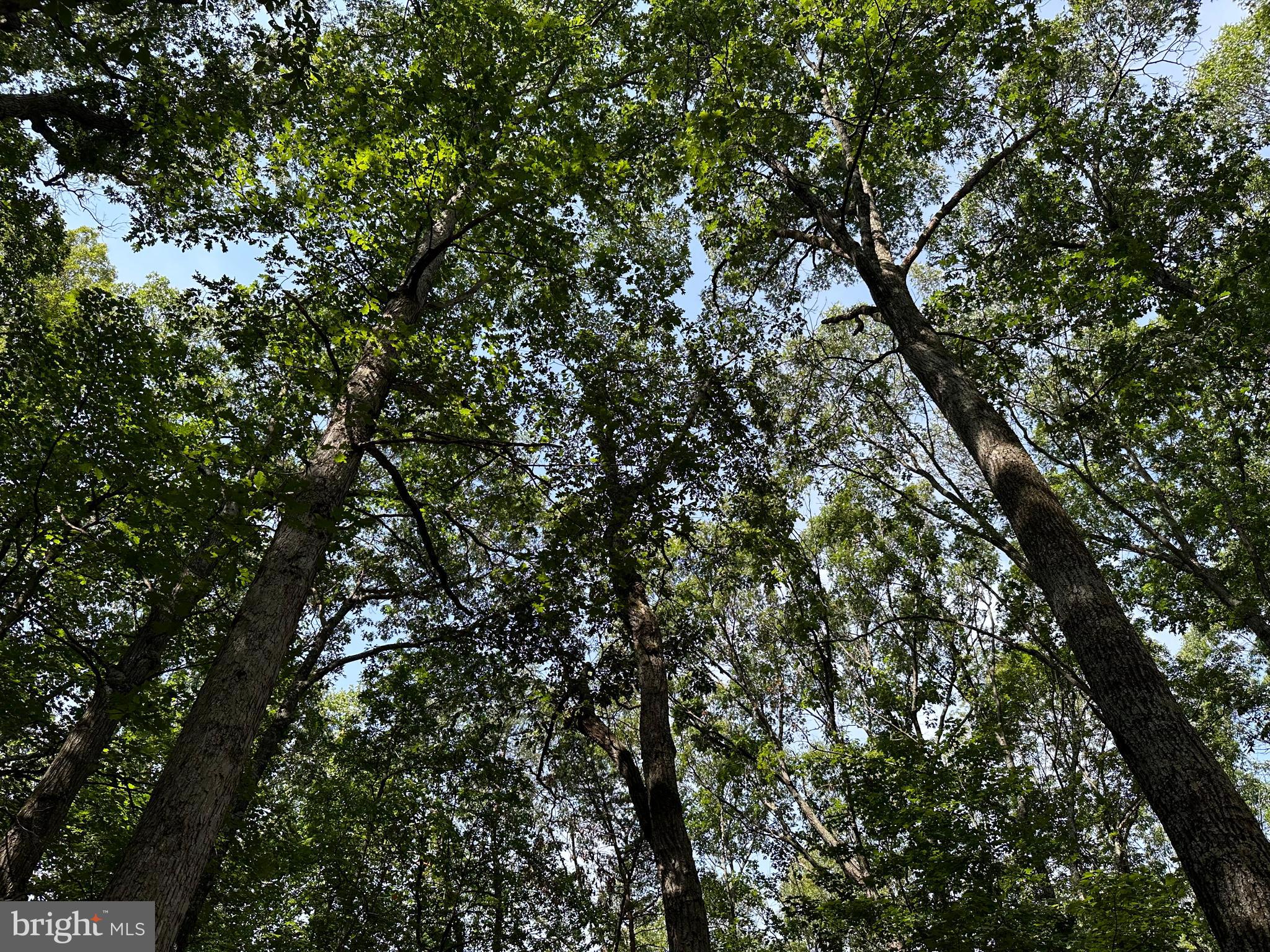 NONE AVAILABLE - Land