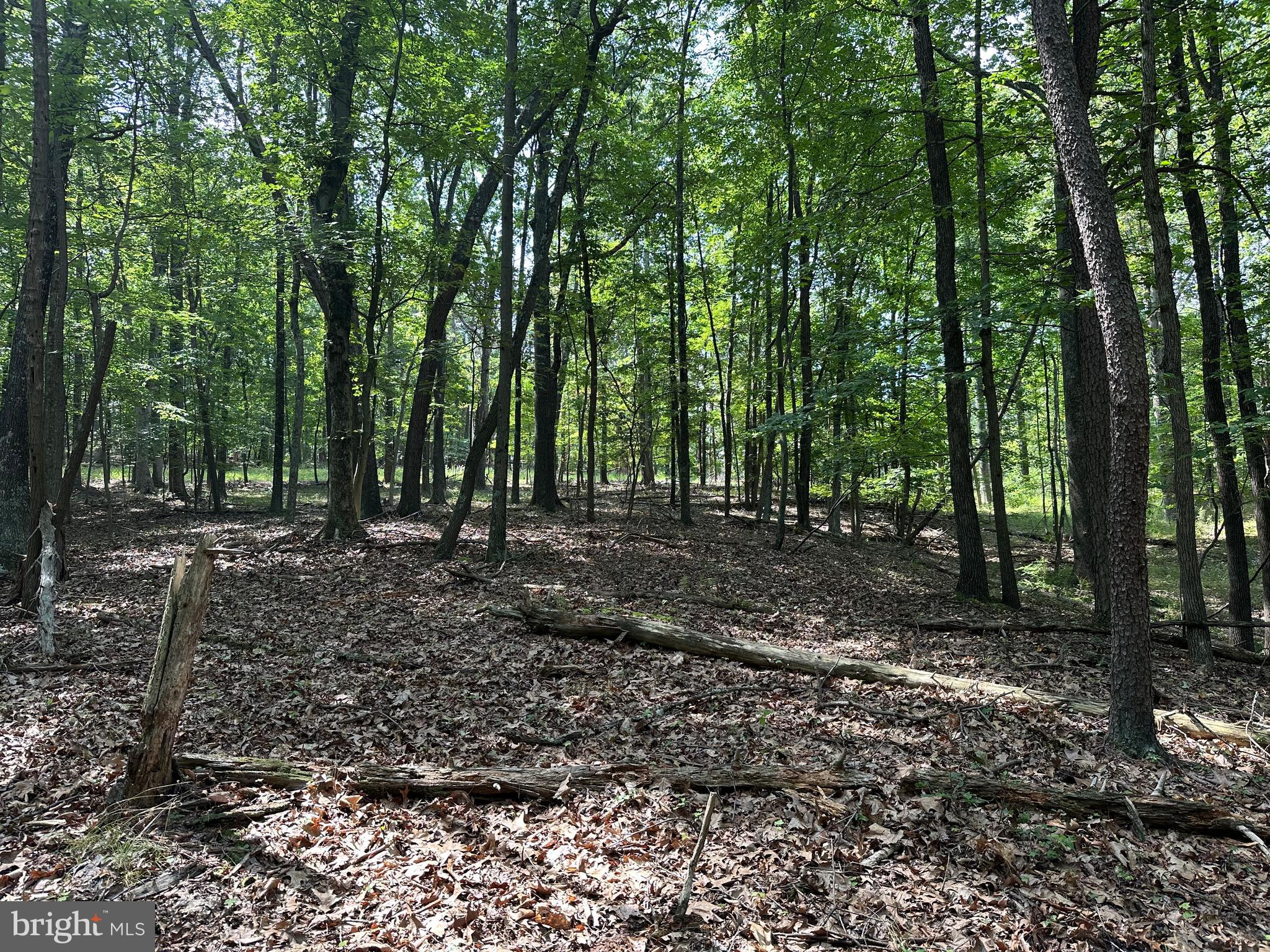 NONE AVAILABLE - Land