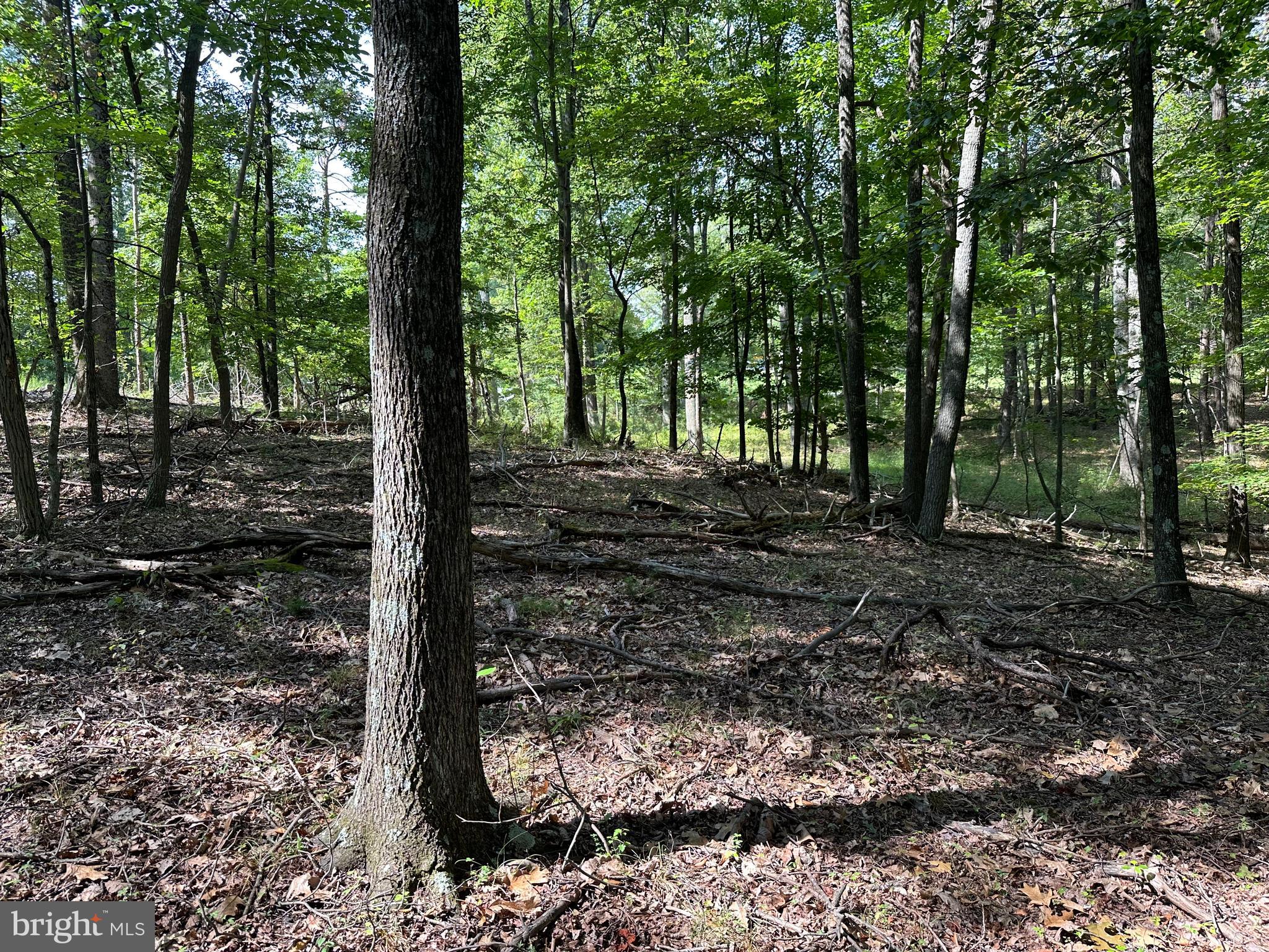 NONE AVAILABLE - Land