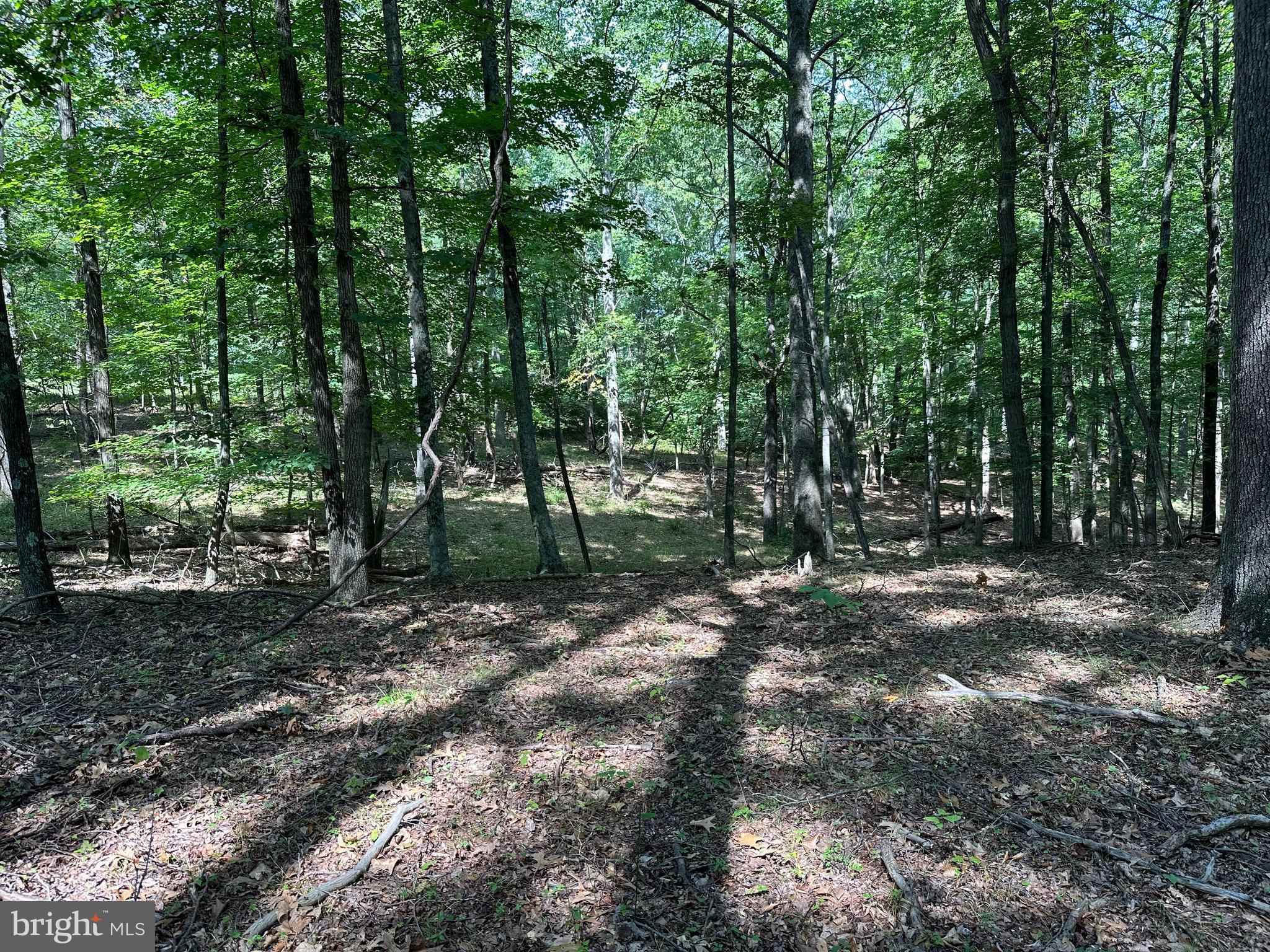 NONE AVAILABLE - Land