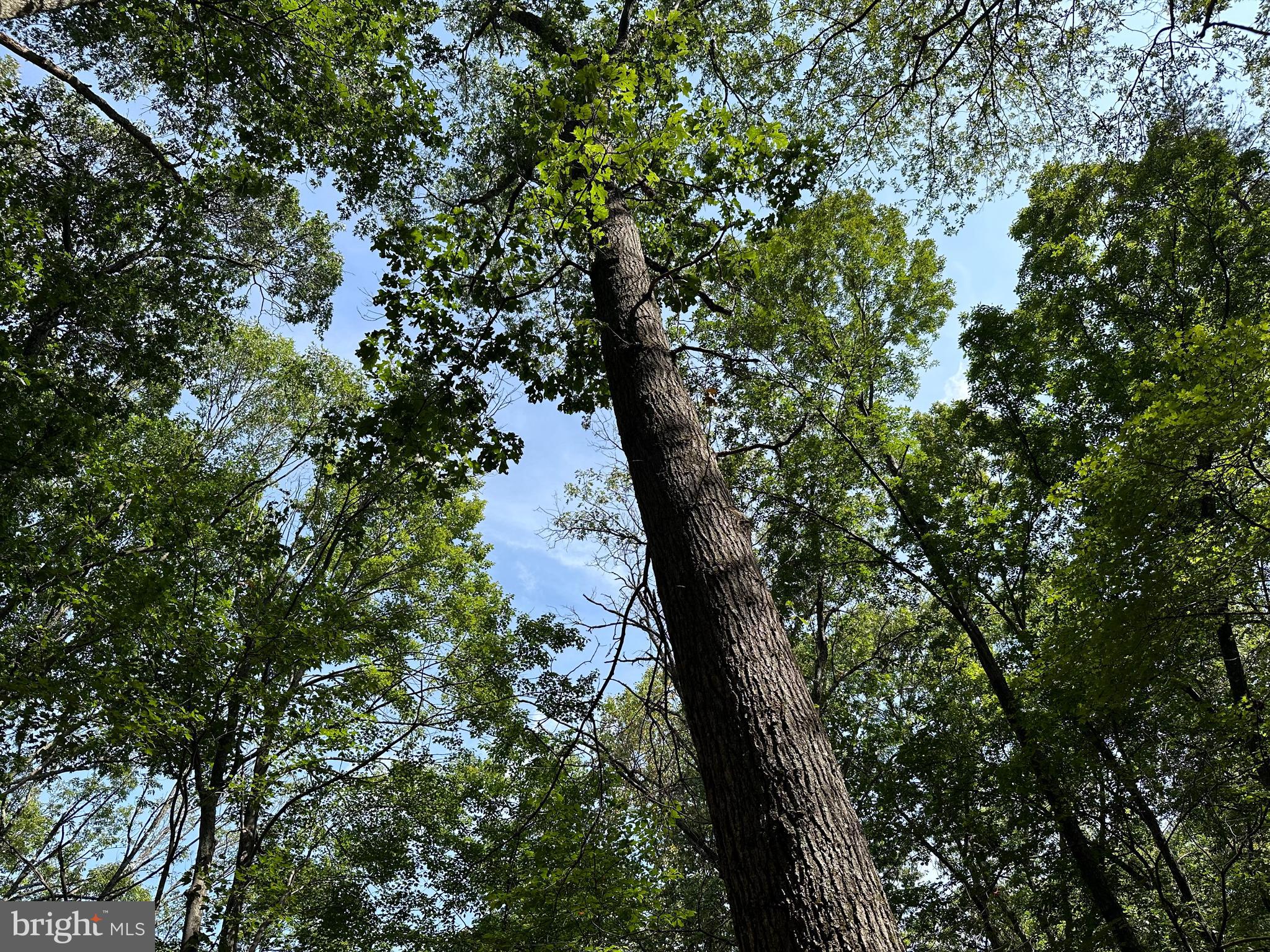 NONE AVAILABLE - Land