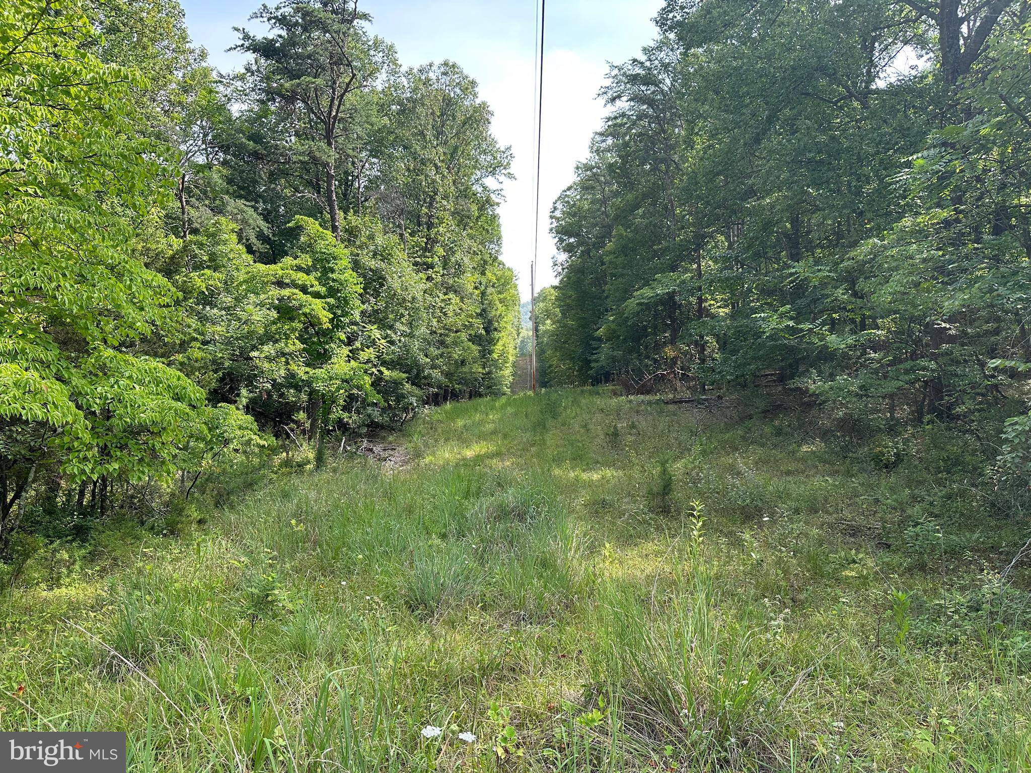 NONE AVAILABLE - Land