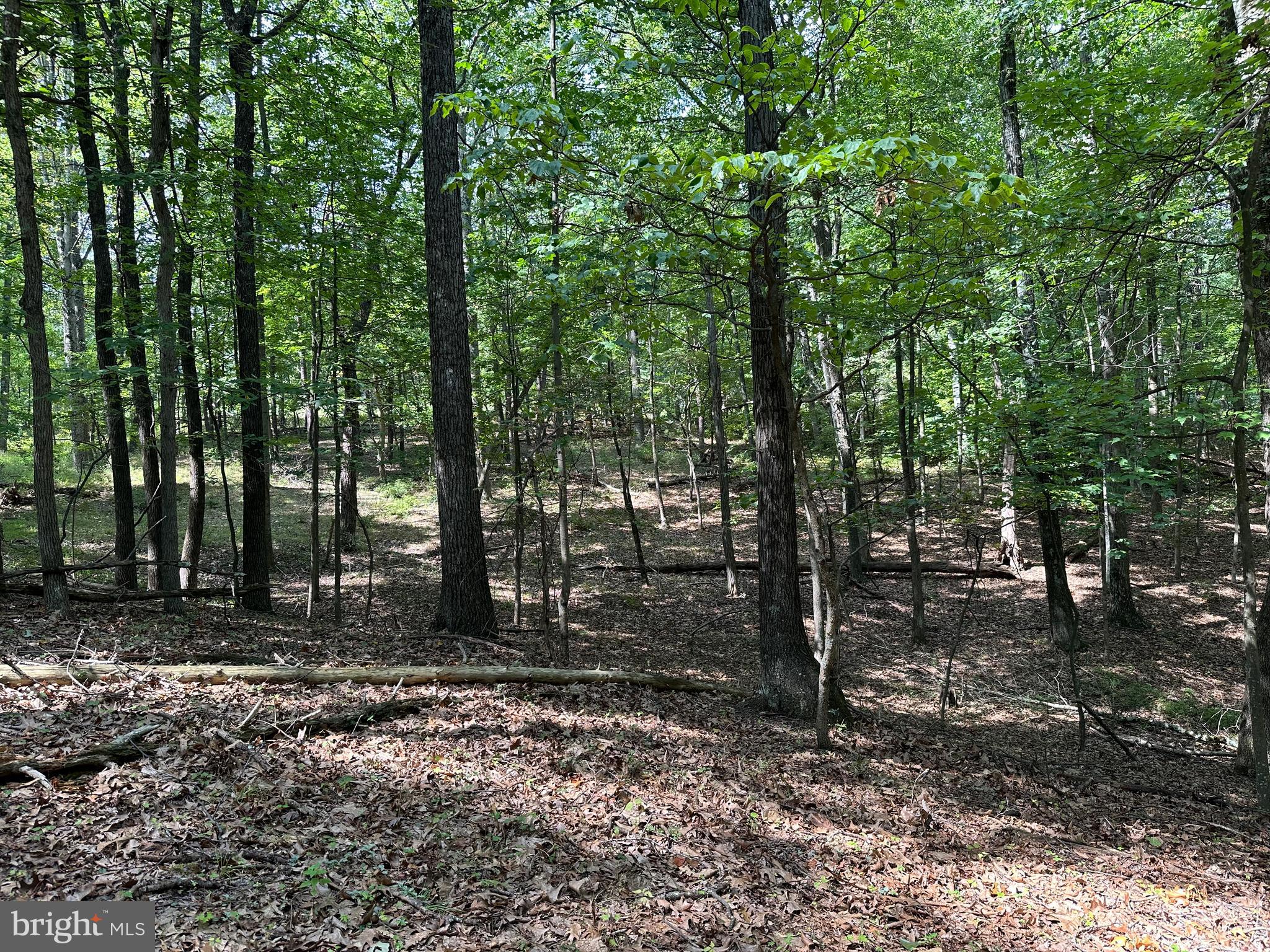 NONE AVAILABLE - Land