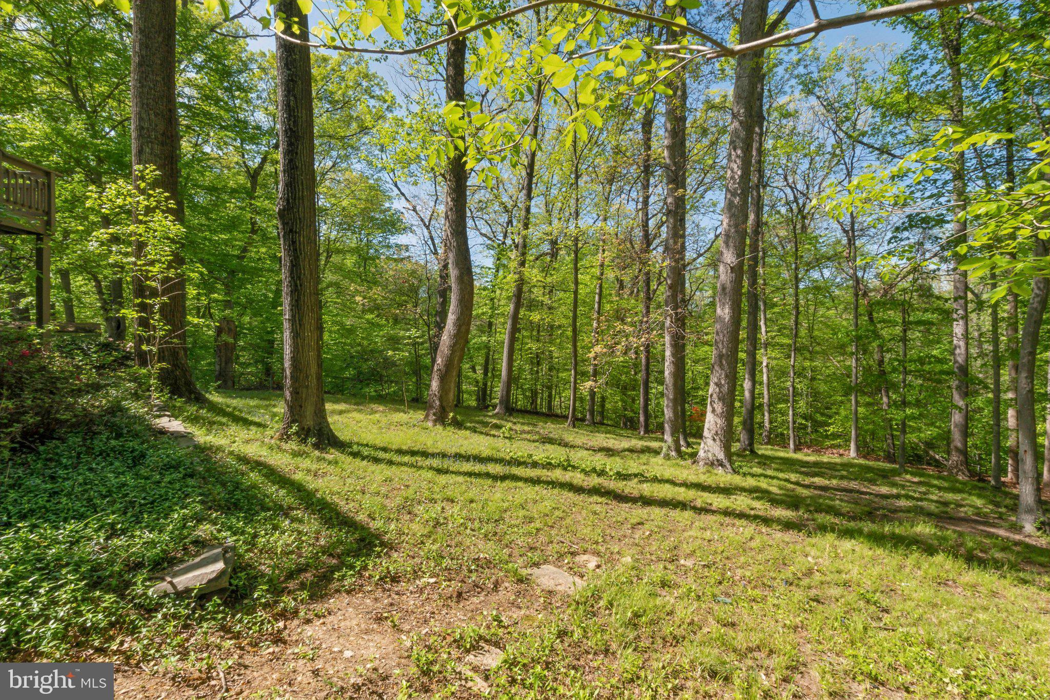 NORTH SPRINGFIELD - Residential