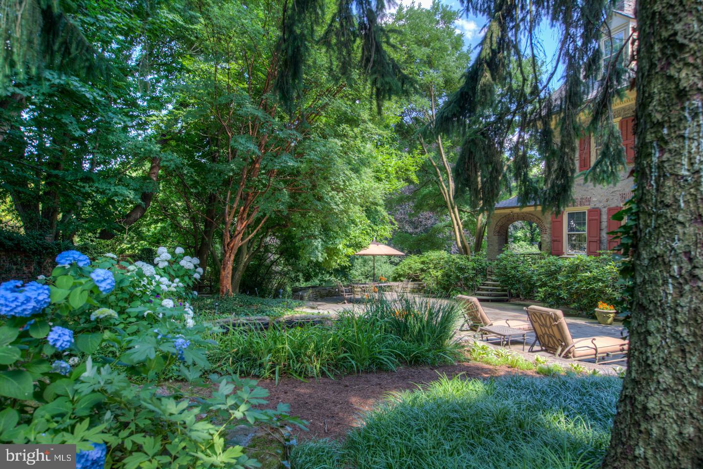 CHESTNUT HILL - Residential