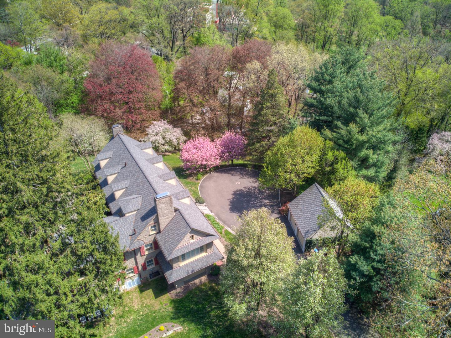 CHESTNUT HILL - Residential