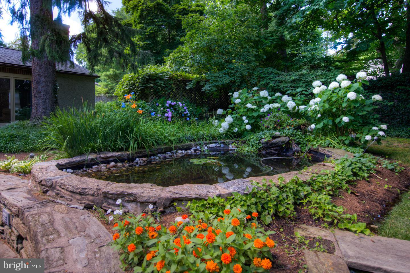 CHESTNUT HILL - Residential