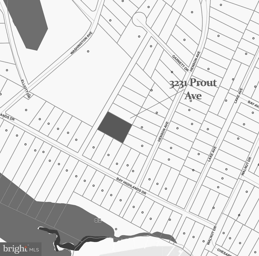 Build your dream home on this 0.32-acre (14,100 sq ft) double parcel in the sought-after water-privileged community of Annapolis. Located on a paper road, Prout Avenue, this rare offering provides the opportunity for one custom home to be built with access to a community park and dock—perfect for enjoying the Chesapeake Bay lifestyle. Public sewer hookup available (well required). Surrounded by newly constructed custom homes and just a short 5–10 minute drive to Eastport, known for its vibrant waterfront dining and marinas. A prime opportunity to build in a growing area with strong value.