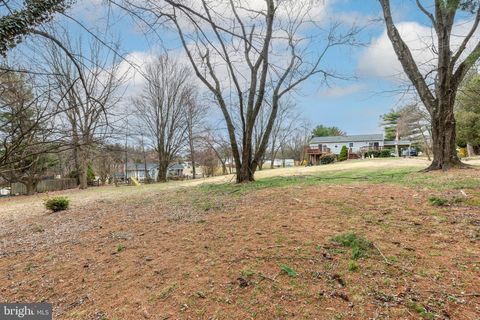 listing image 45