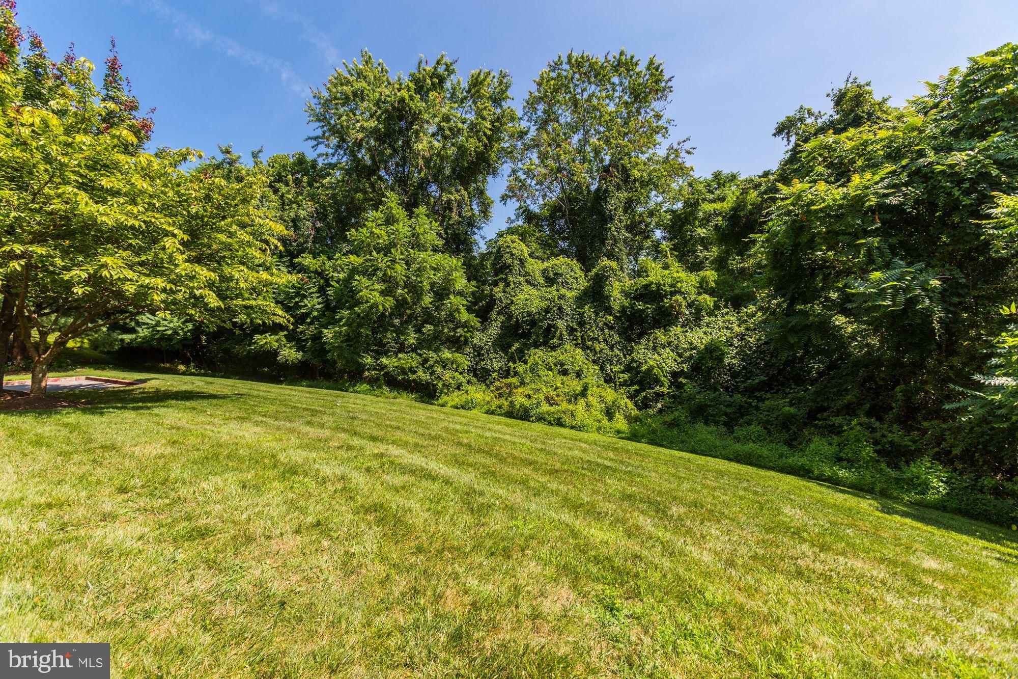 VILLAGE OF RIVER HILL - Residential