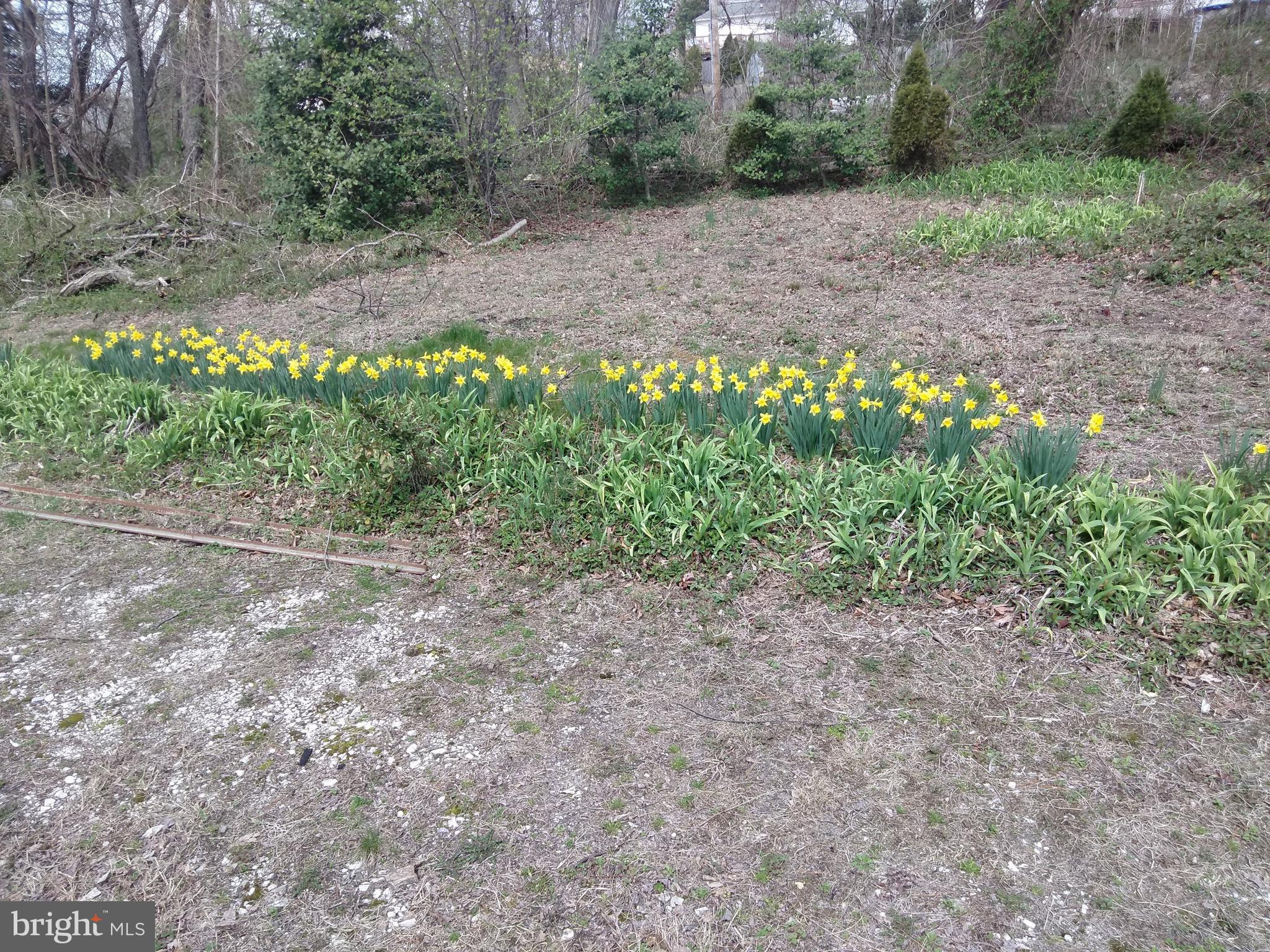 MARLEY BEACH PARK ANNEX - Residential