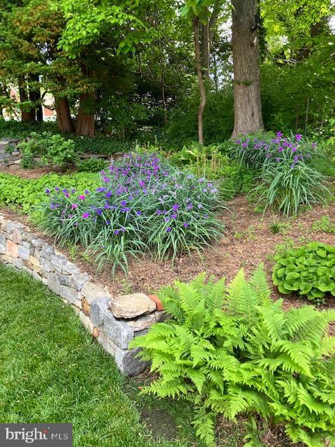 SCENIC HILLS - Residential