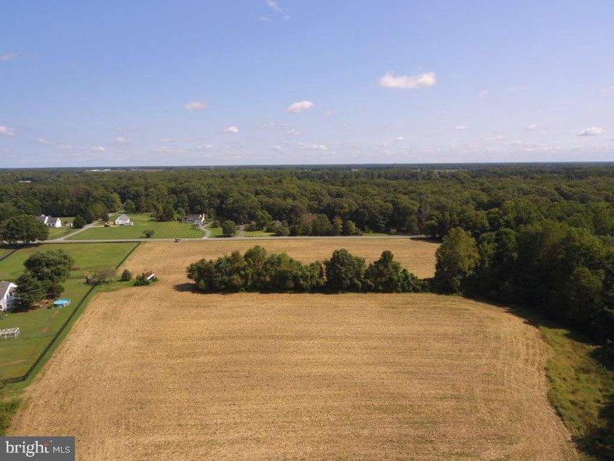 Discover this beautiful 22+ acre property with direct access to Black Dog Alley, just a few miles from Easton and Rt 50. Featuring 13 acres of tillable land and 9 acres of wooded area with a charming stream, it’s perfect for horses or creating your dream farmette.

Ideal for nature lovers and hunters alike, this spacious parcel offers endless possibilities. Don’t miss out—larger lots like this are rare! Contact us to explore today!

The property is perk approved and is awaiting your house plans.