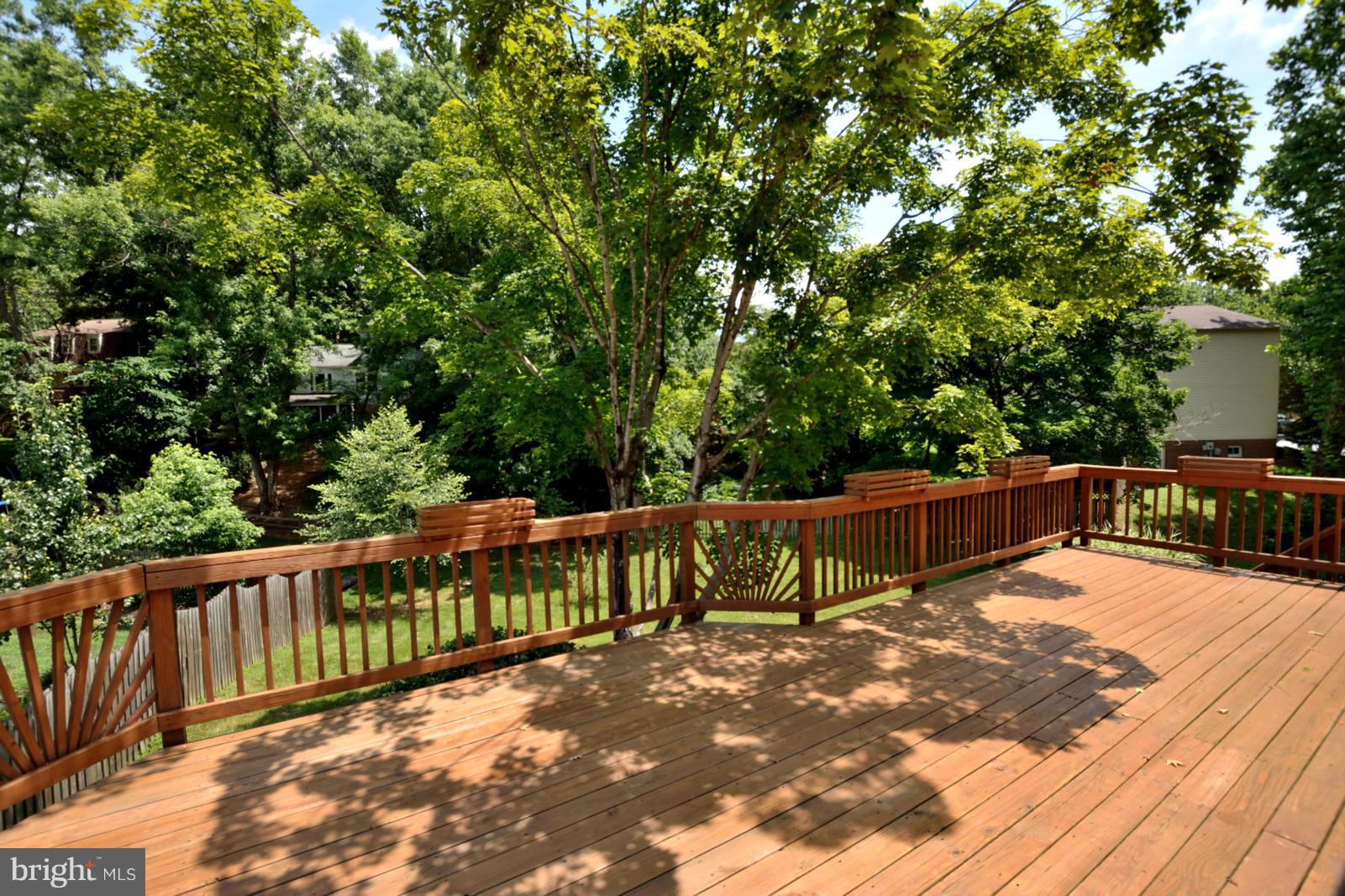 COUNTRY CLUB/LAKE MONTCLAIR - Residential