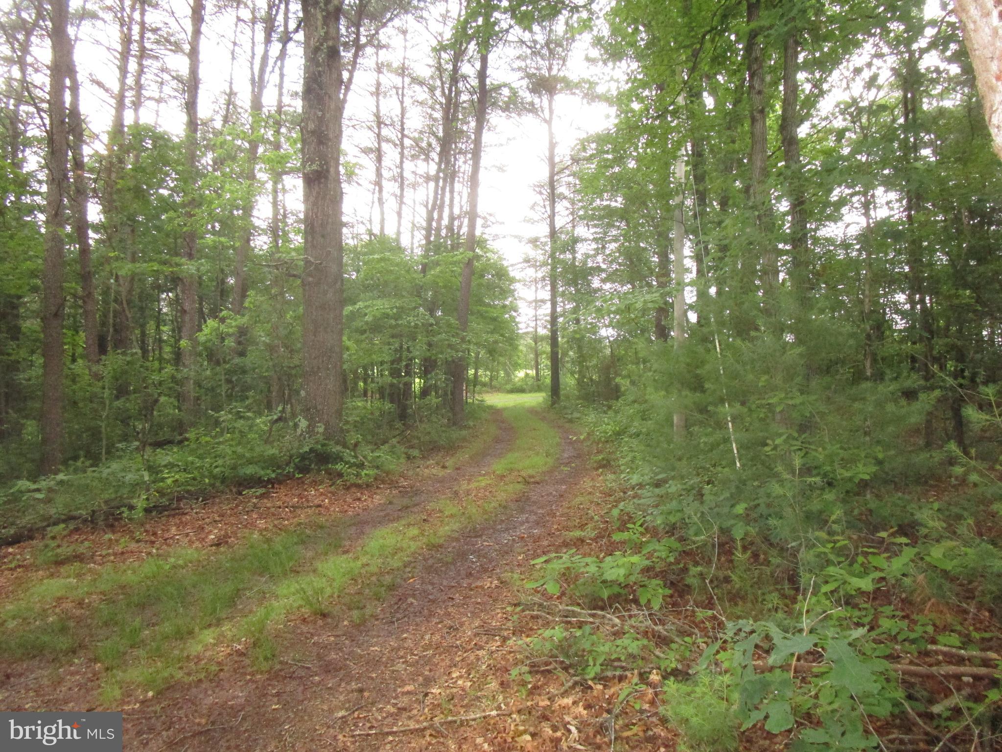 GREEN MOUNTAIN COMMUNITY - Residential