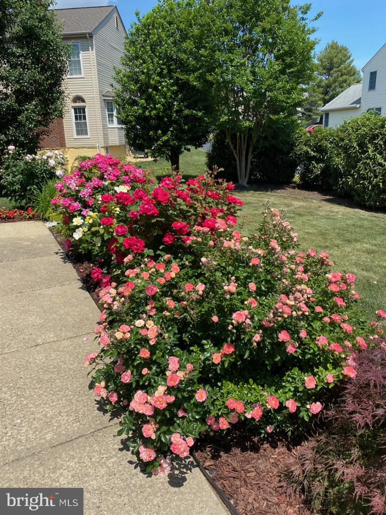 THE DOWNS - Residential