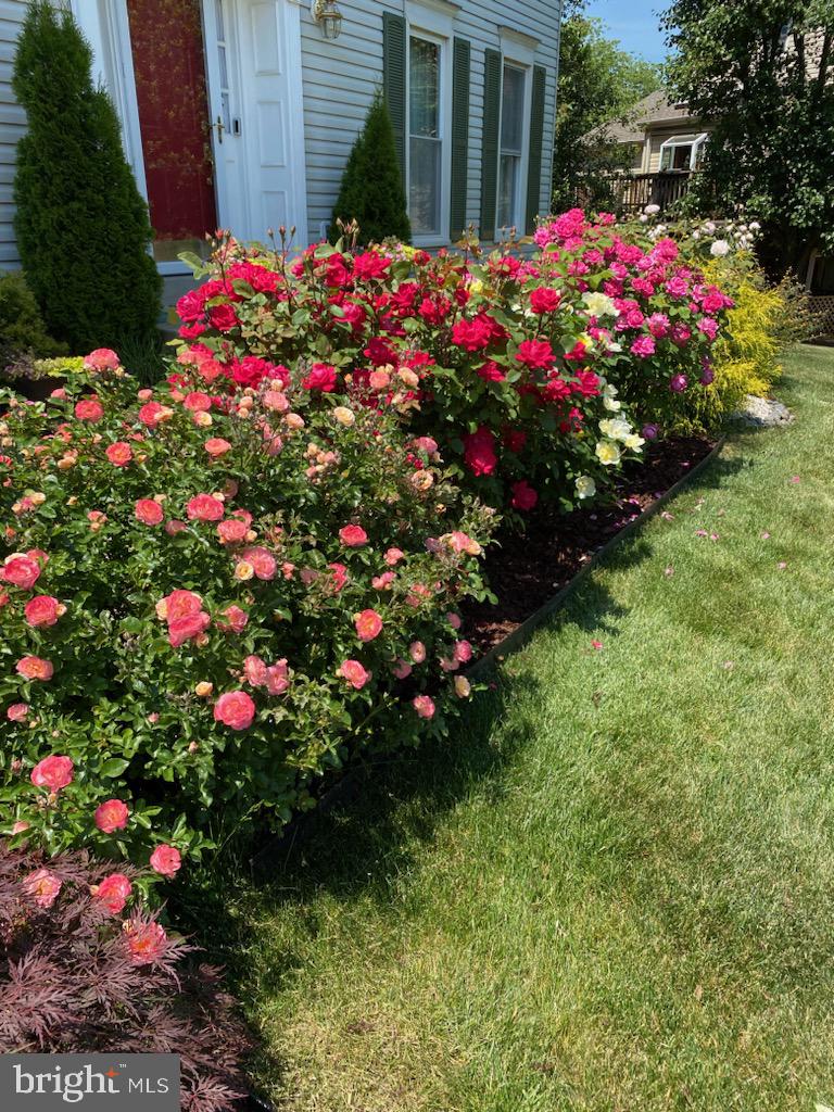 THE DOWNS - Residential