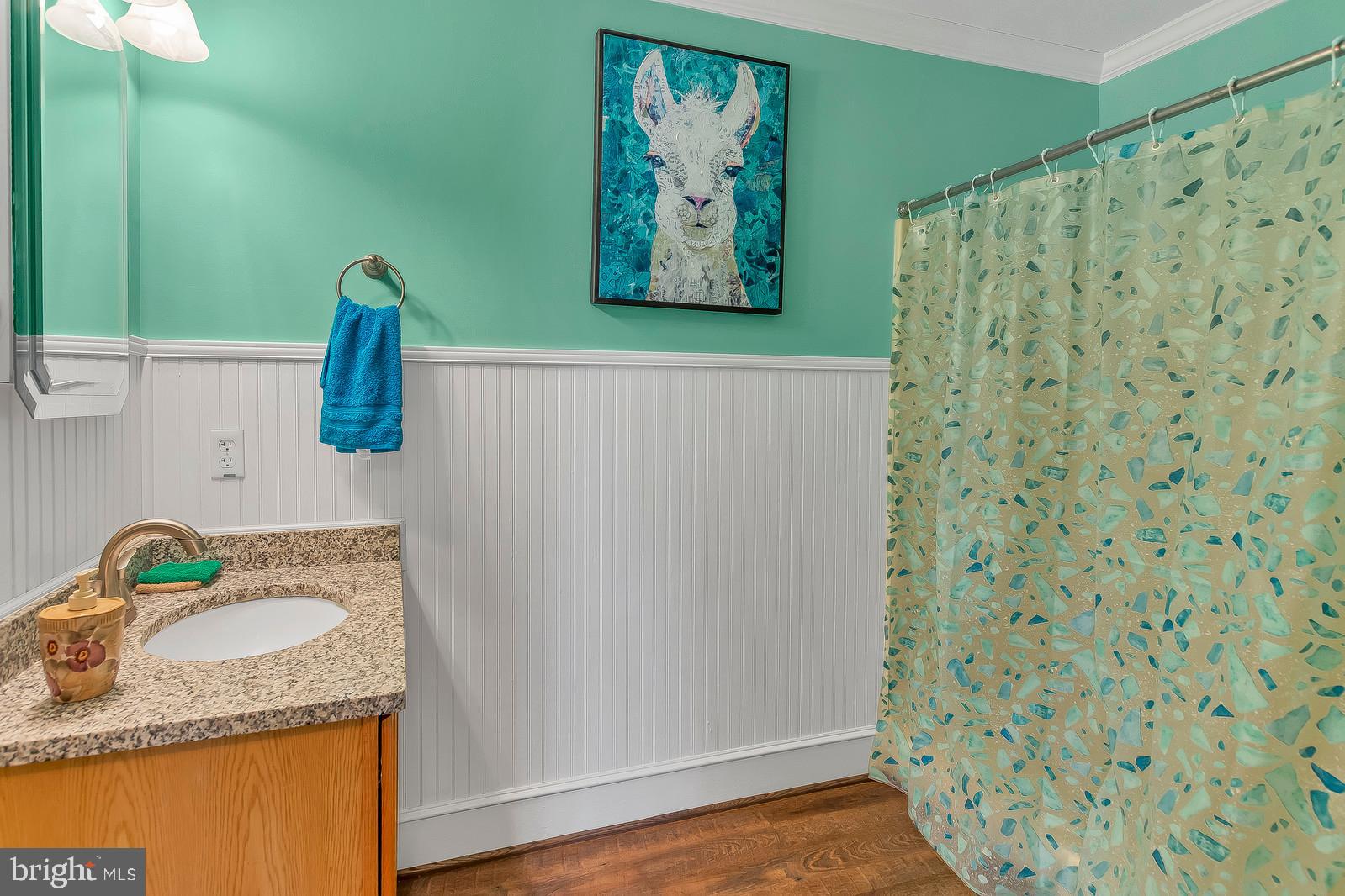 BUENA VISTA HILLS - Residential