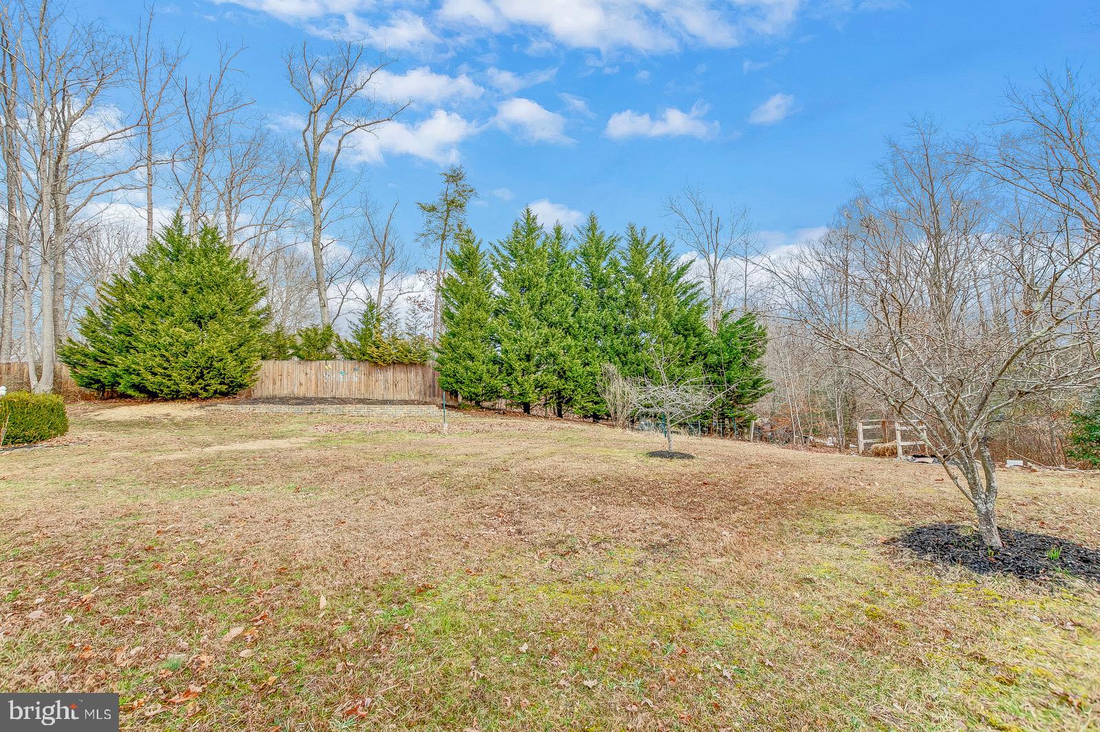 BUENA VISTA HILLS - Residential