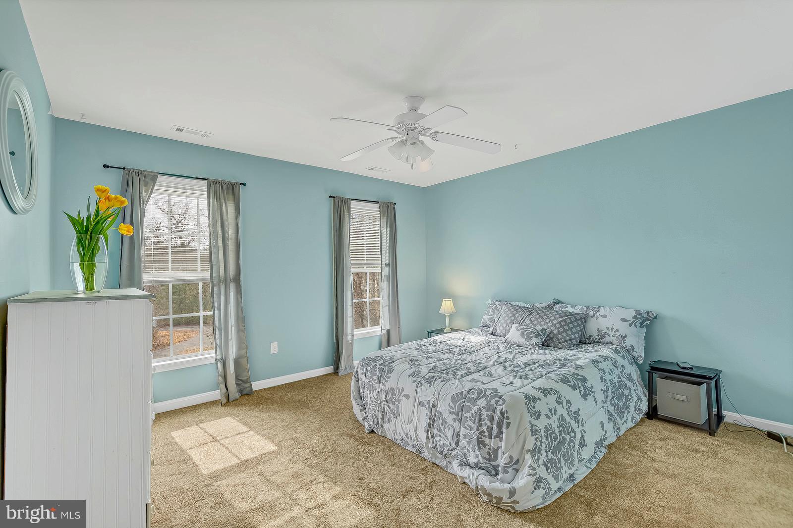 BUENA VISTA HILLS - Residential