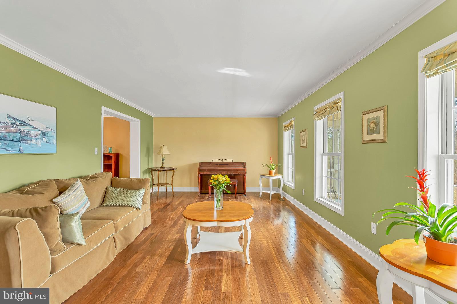 BUENA VISTA HILLS - Residential