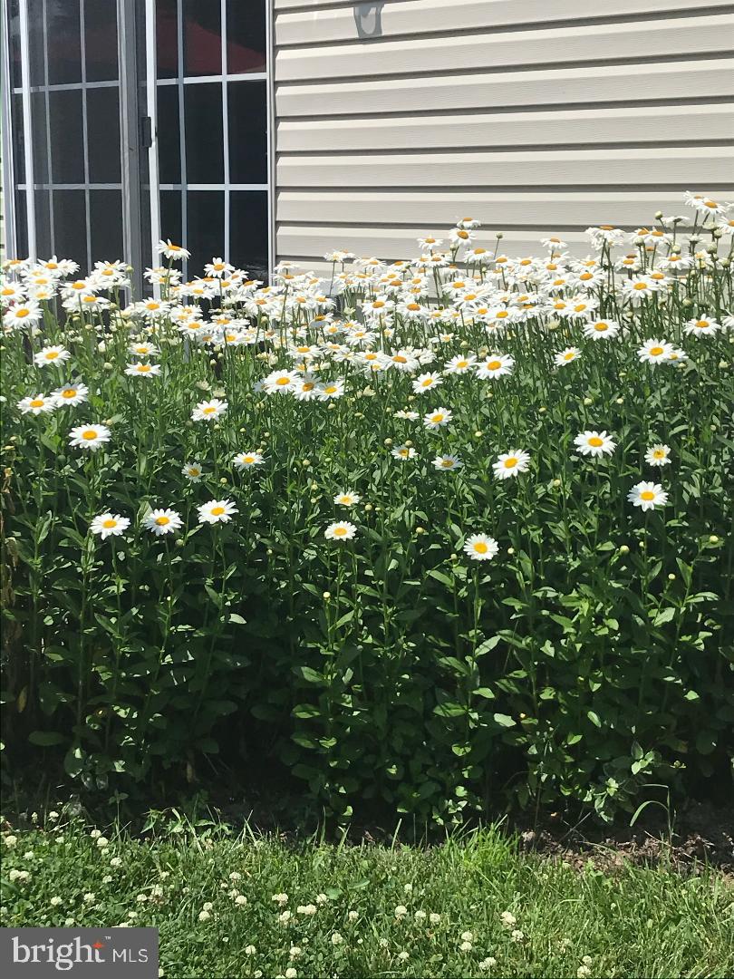 LANDIS GREENE - Residential