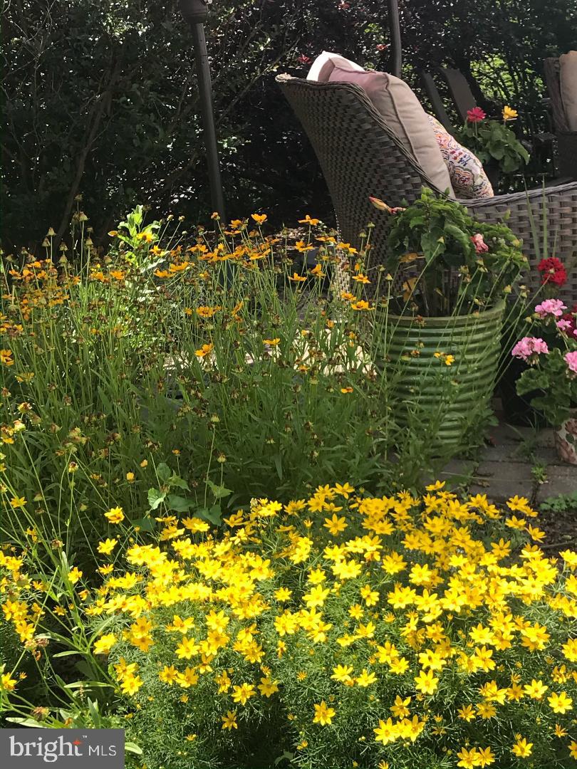 LANDIS GREENE - Residential