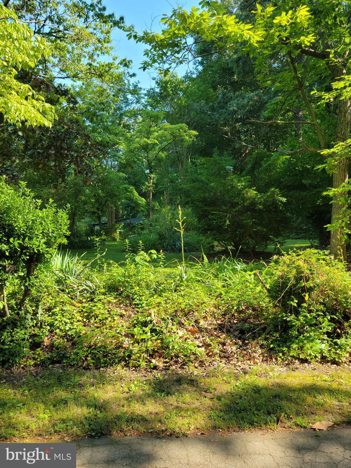 GUNSTON MANOR - Land