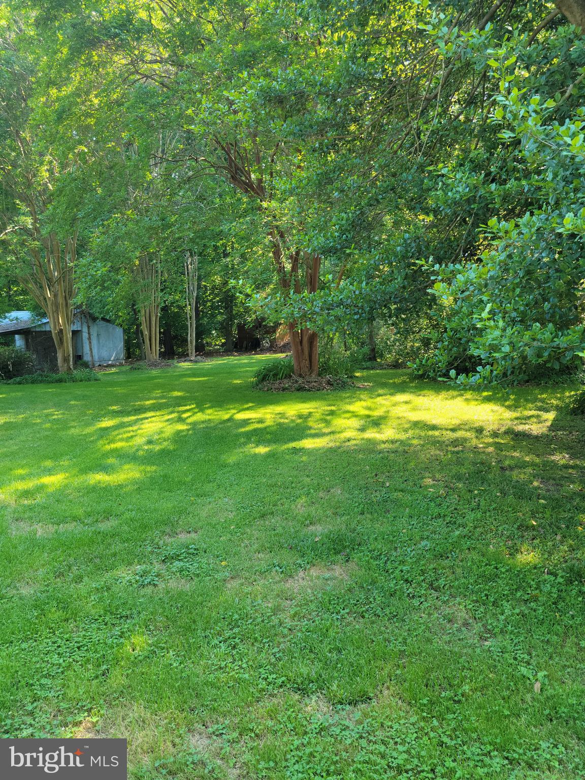 GUNSTON MANOR - Land