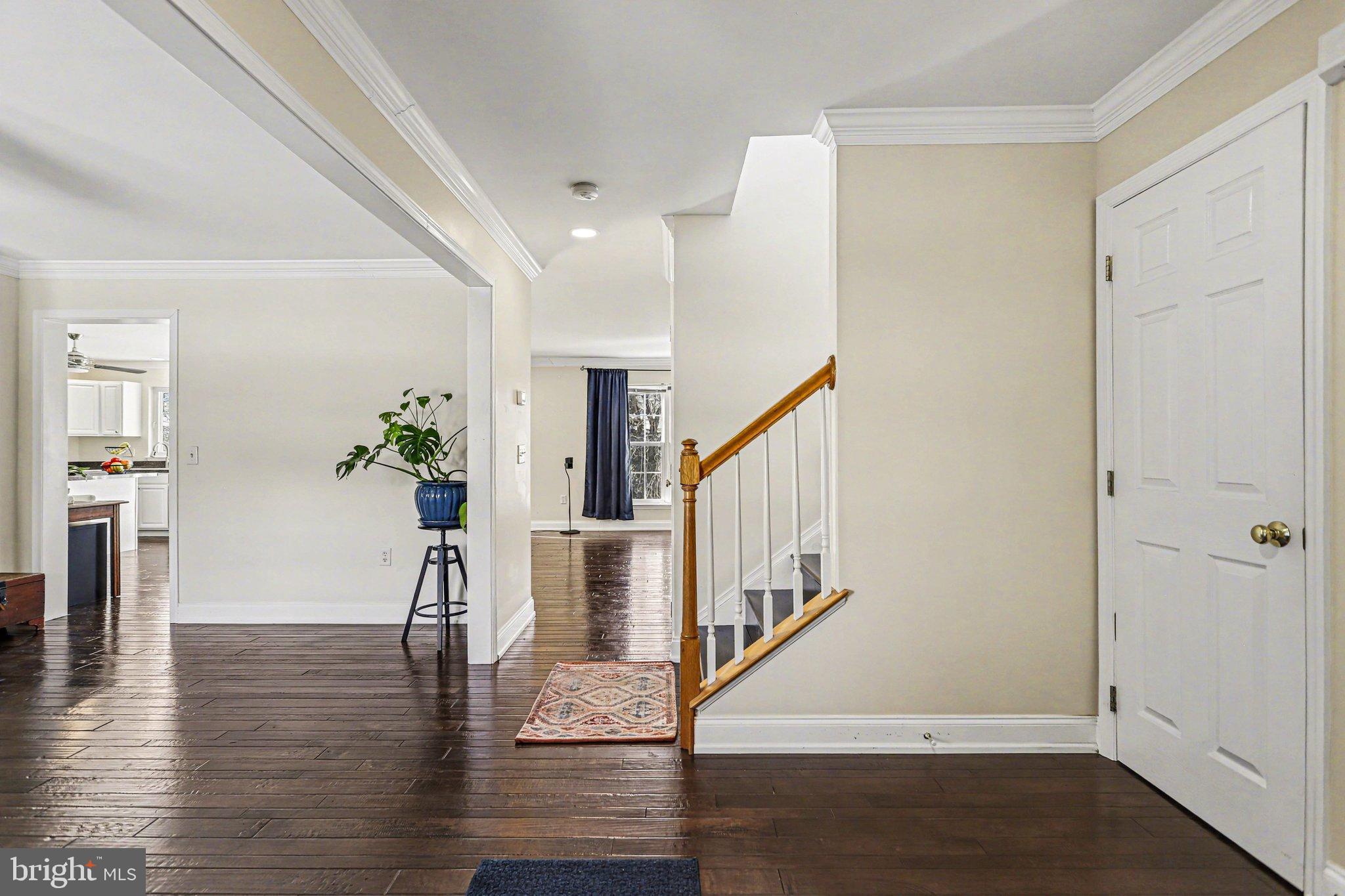 LOGANS RUN - Residential