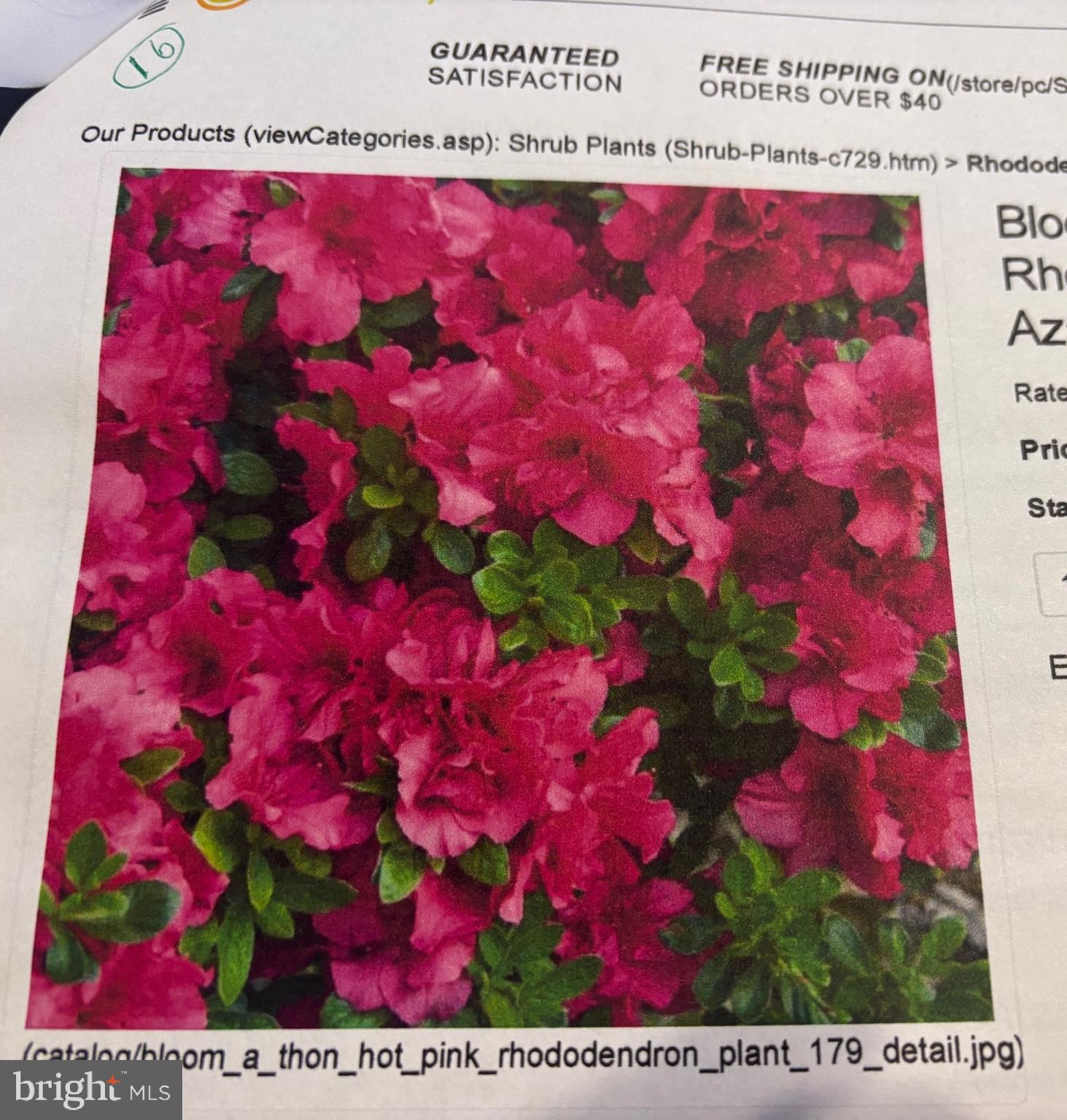 THE LEGENDS - Residential