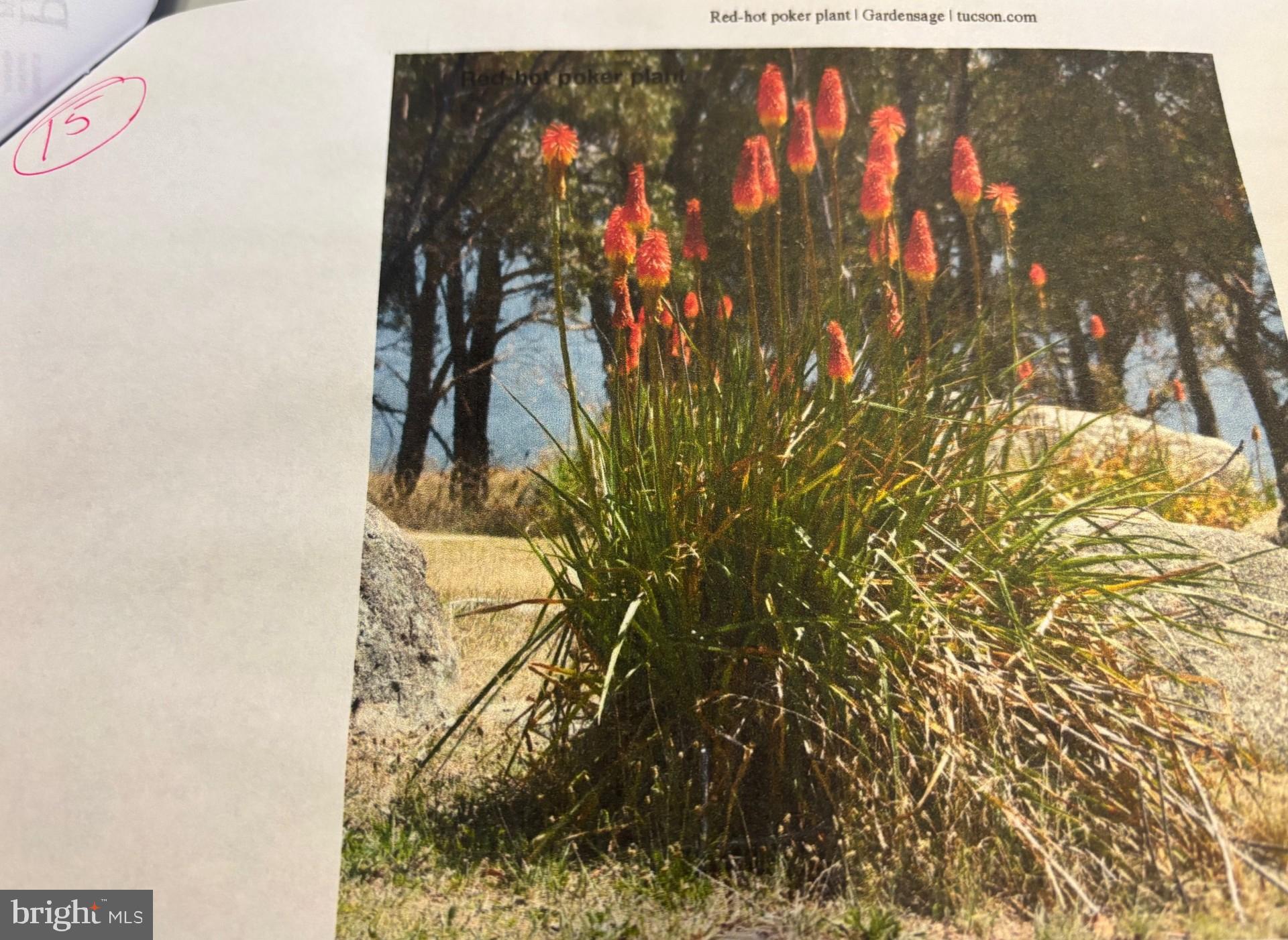 THE LEGENDS - Residential