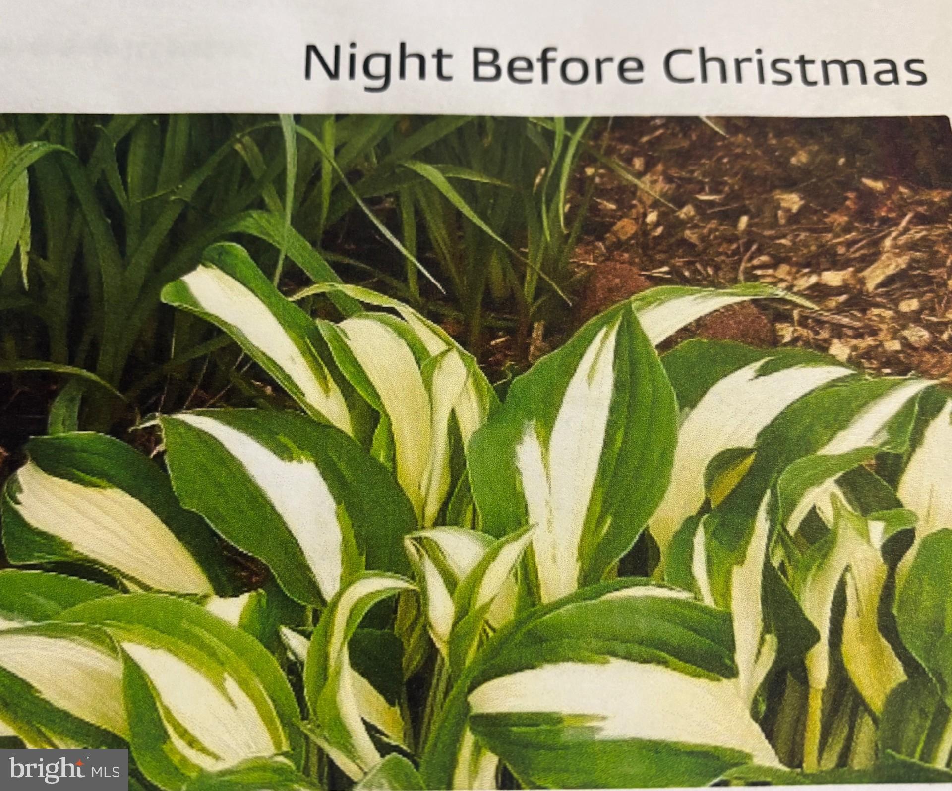 THE LEGENDS - Residential