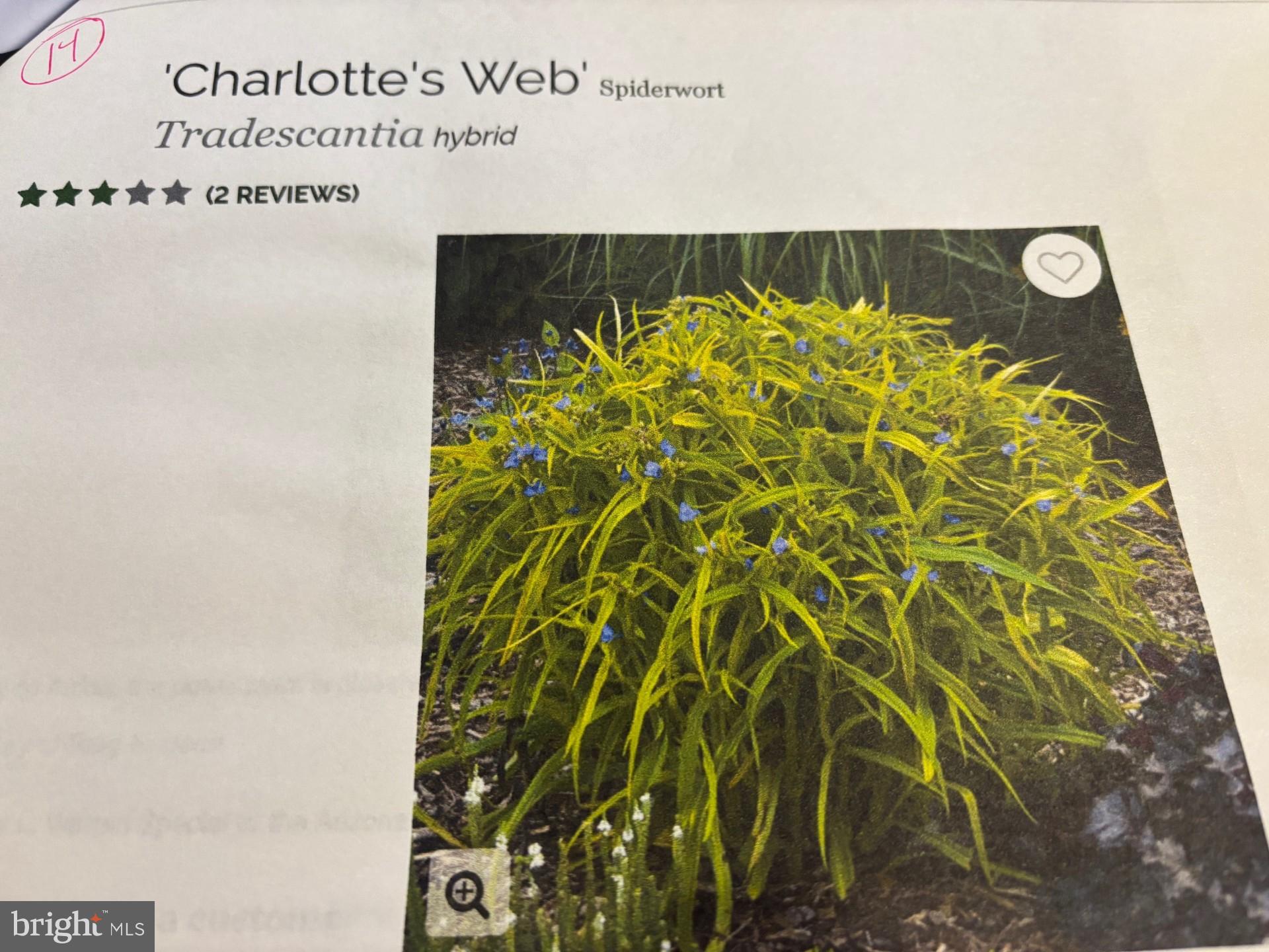 THE LEGENDS - Residential