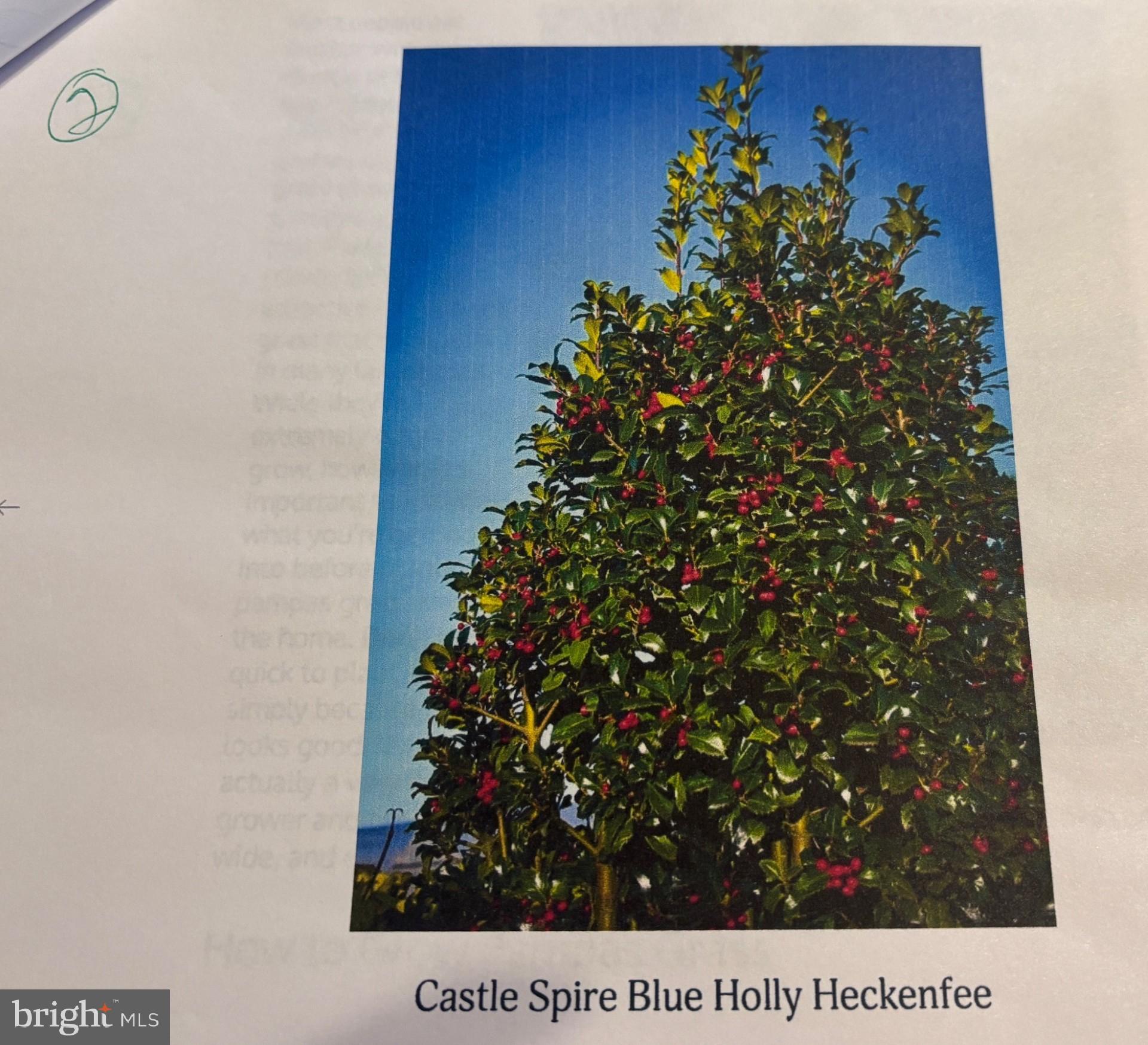 THE LEGENDS - Residential