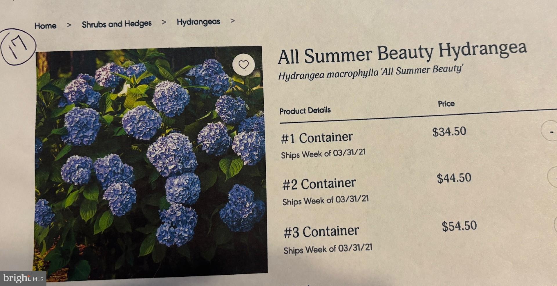 THE LEGENDS - Residential