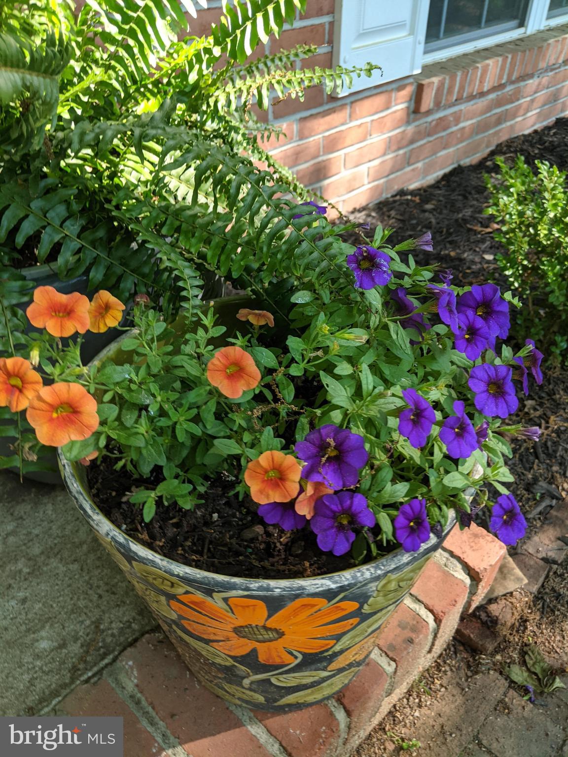 FOXCREST MANOR - Residential