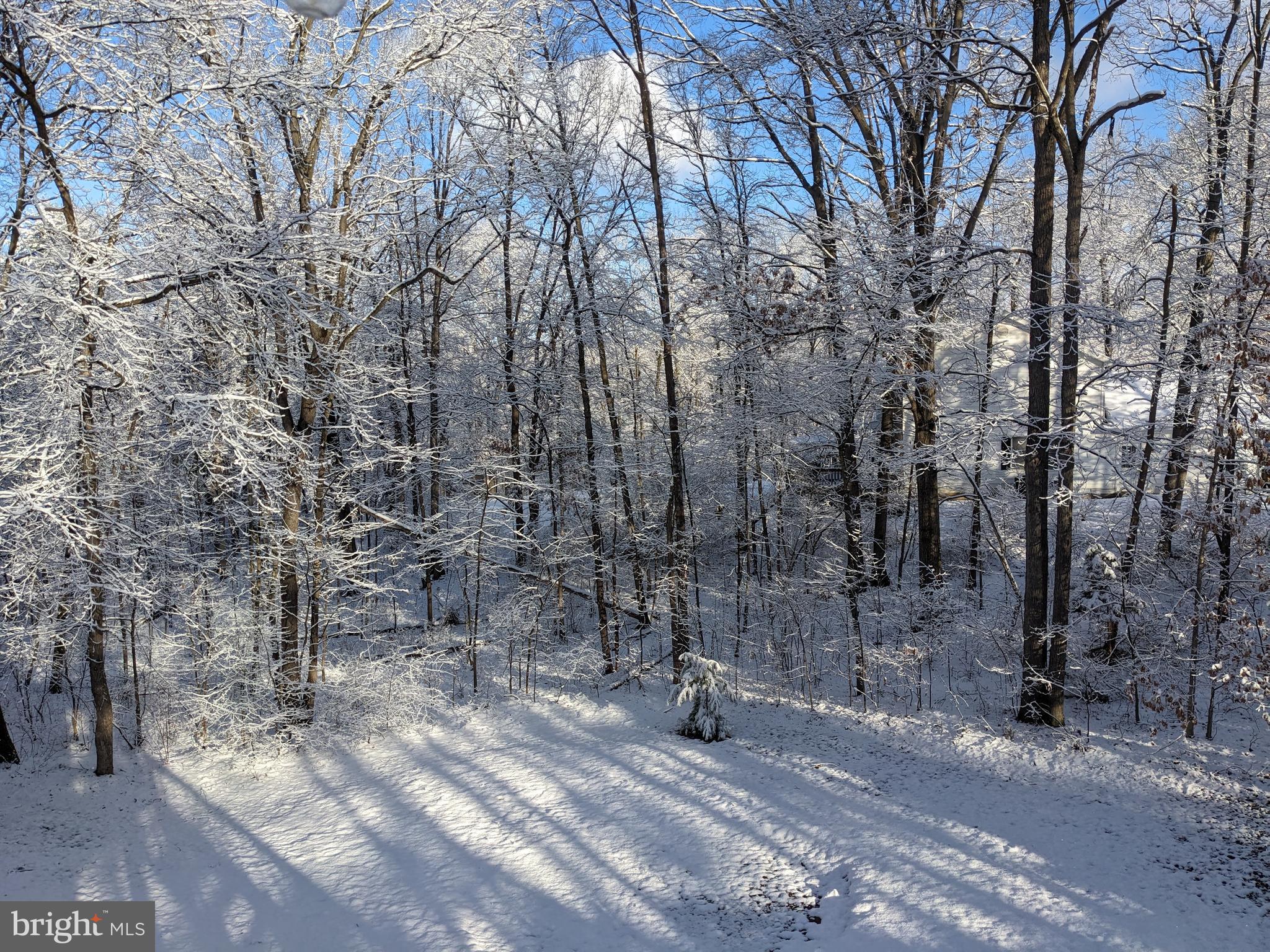 FOXCREST MANOR - Residential