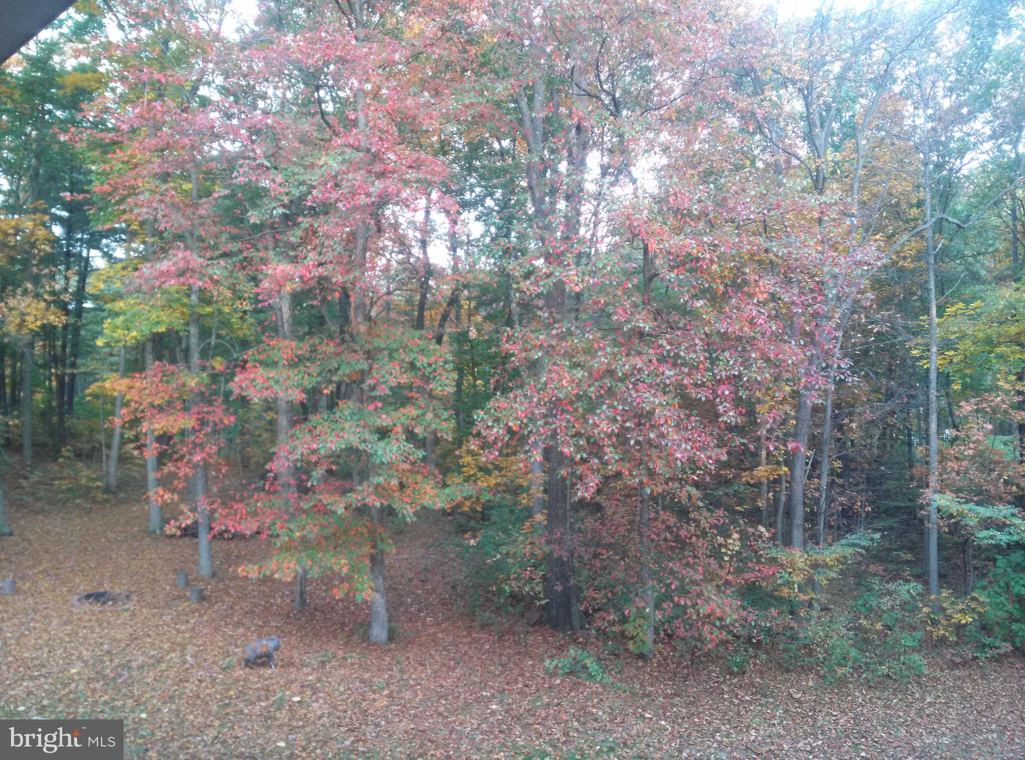 FOXCREST MANOR - Residential