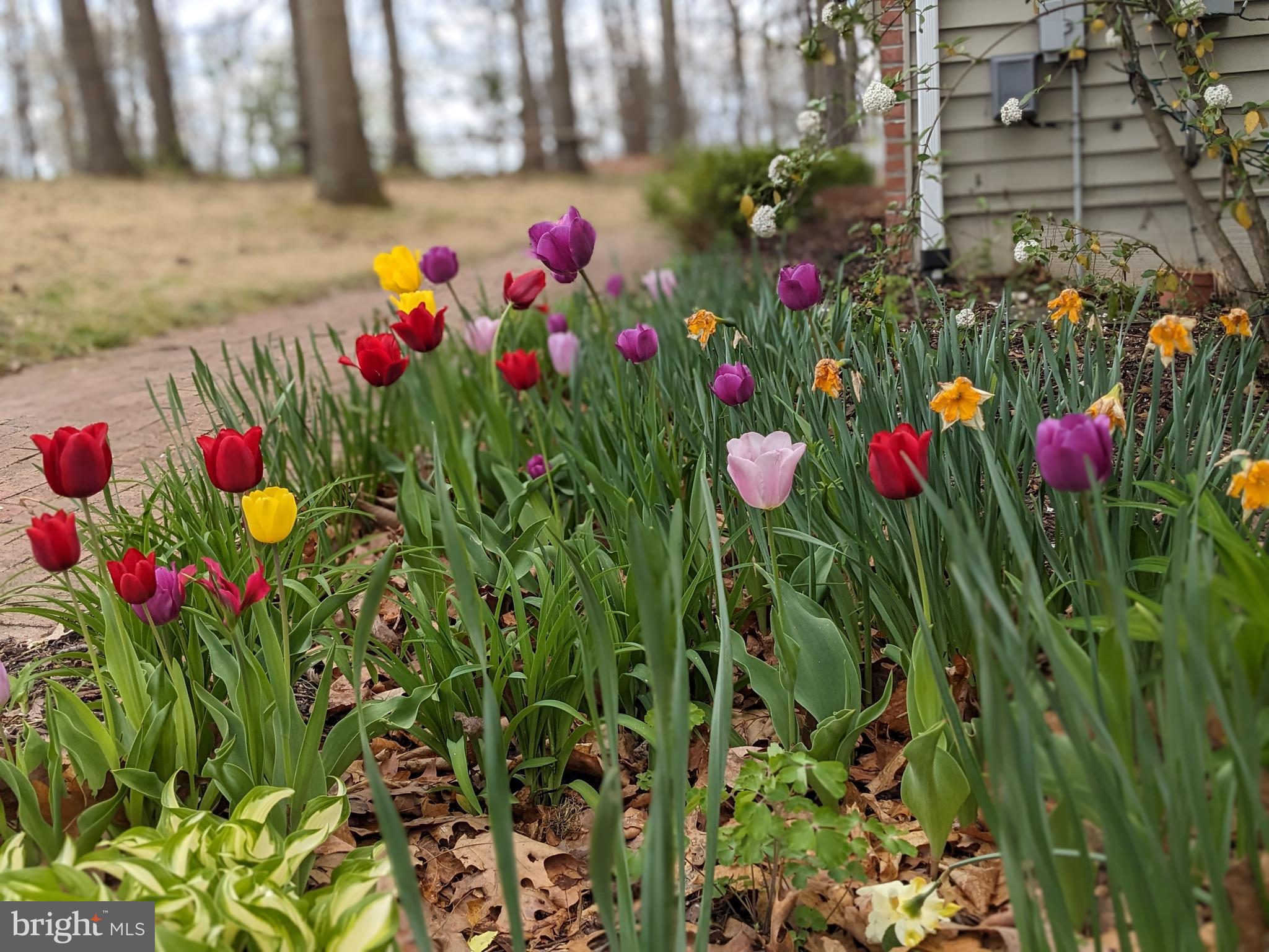 FOXCREST MANOR - Residential