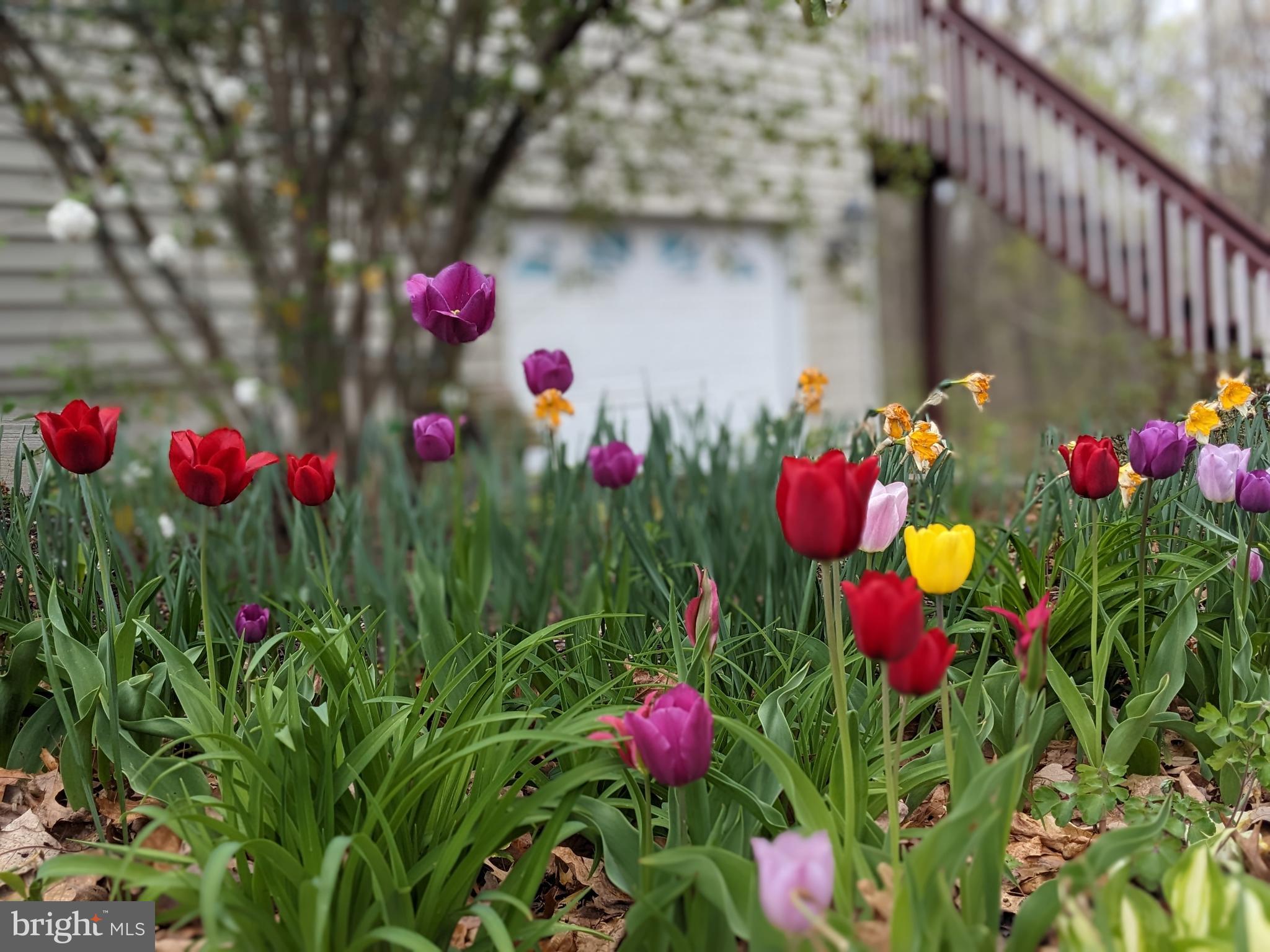 FOXCREST MANOR - Residential