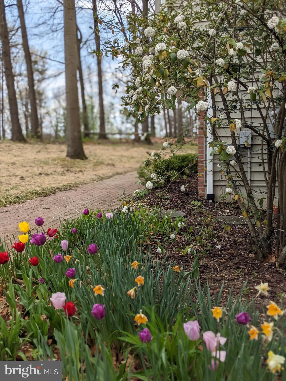 FOXCREST MANOR - Residential