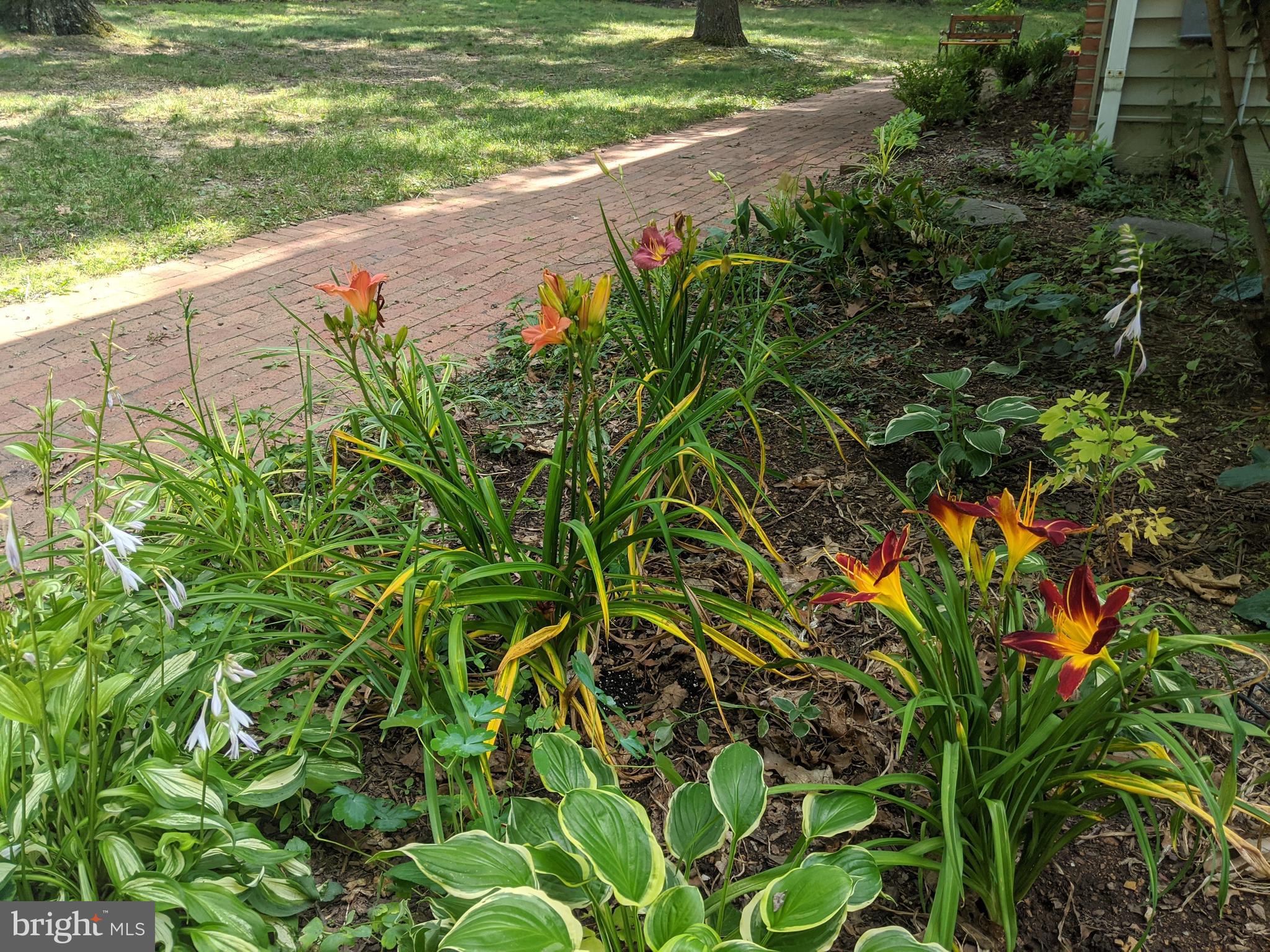 FOXCREST MANOR - Residential