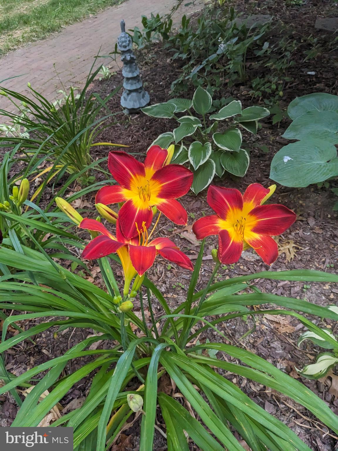 FOXCREST MANOR - Residential